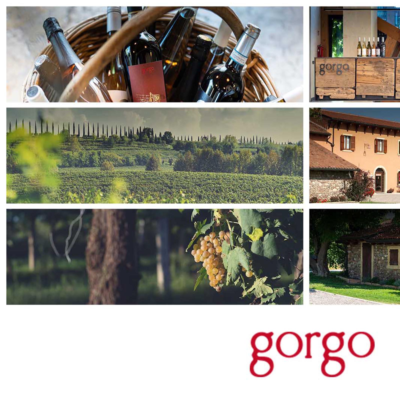 6er-Sparpaket Custoza 2025 San Michelin Bio