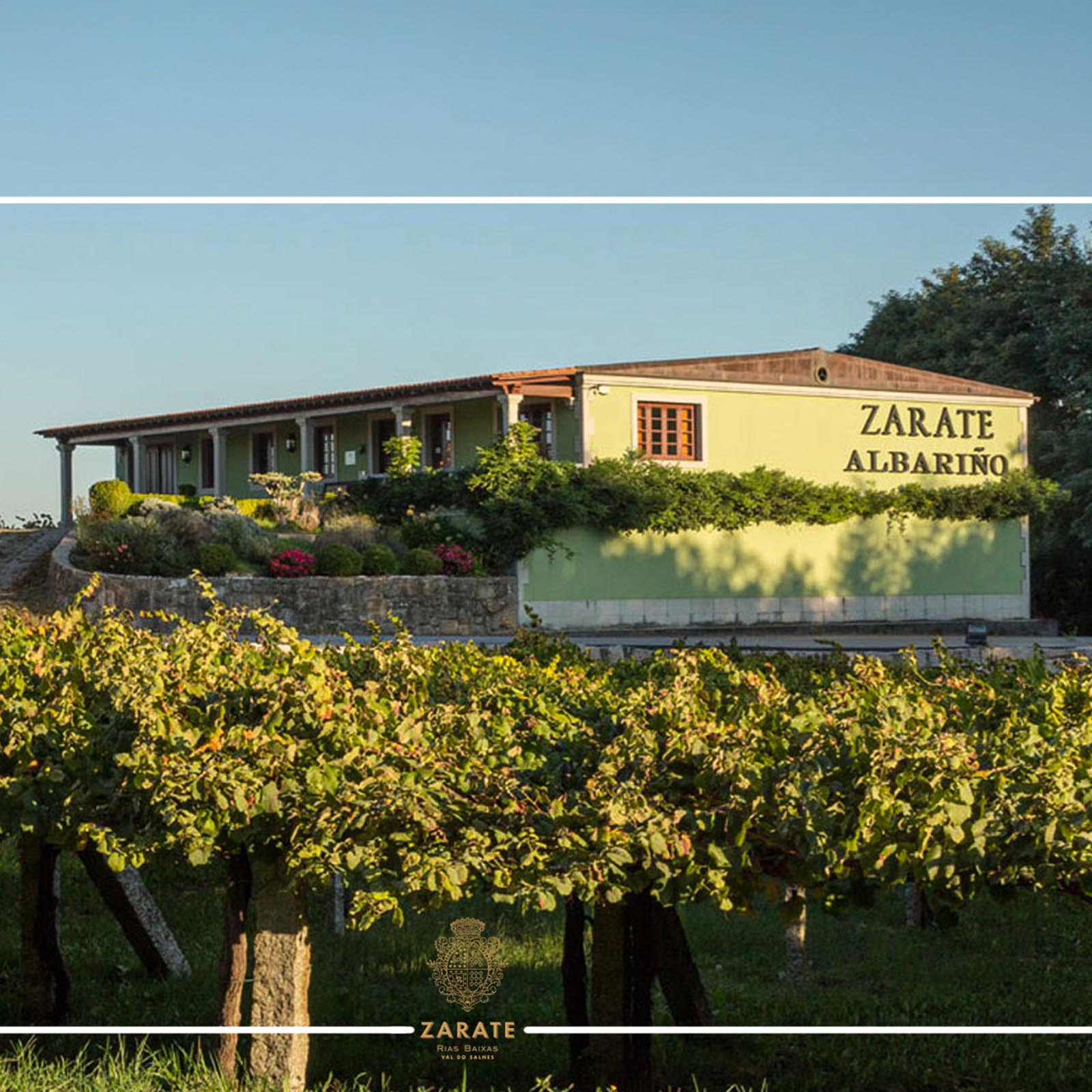 Albariño 2024 Zarate