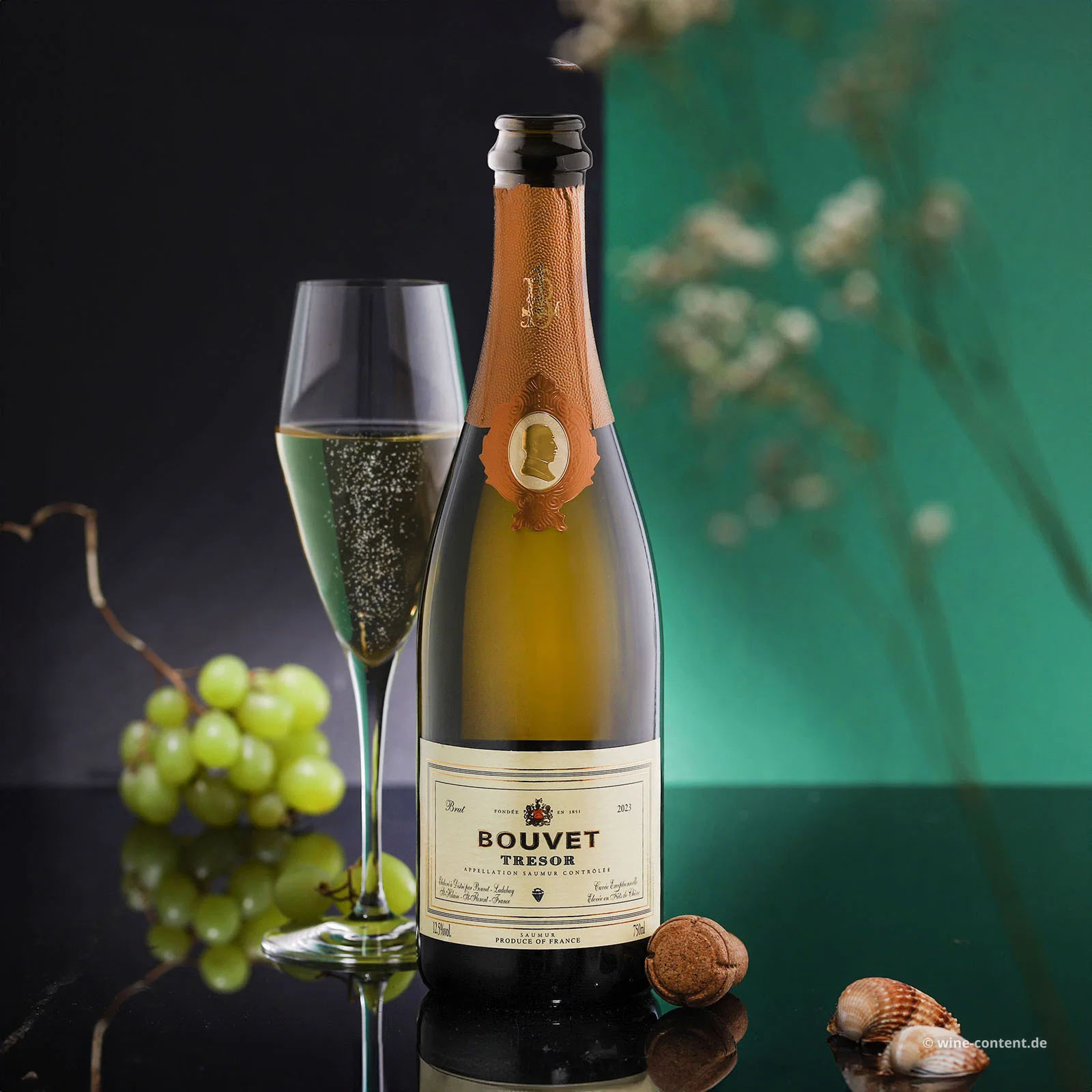 Crémant Saumur Blanc 2023 Trésor Brut