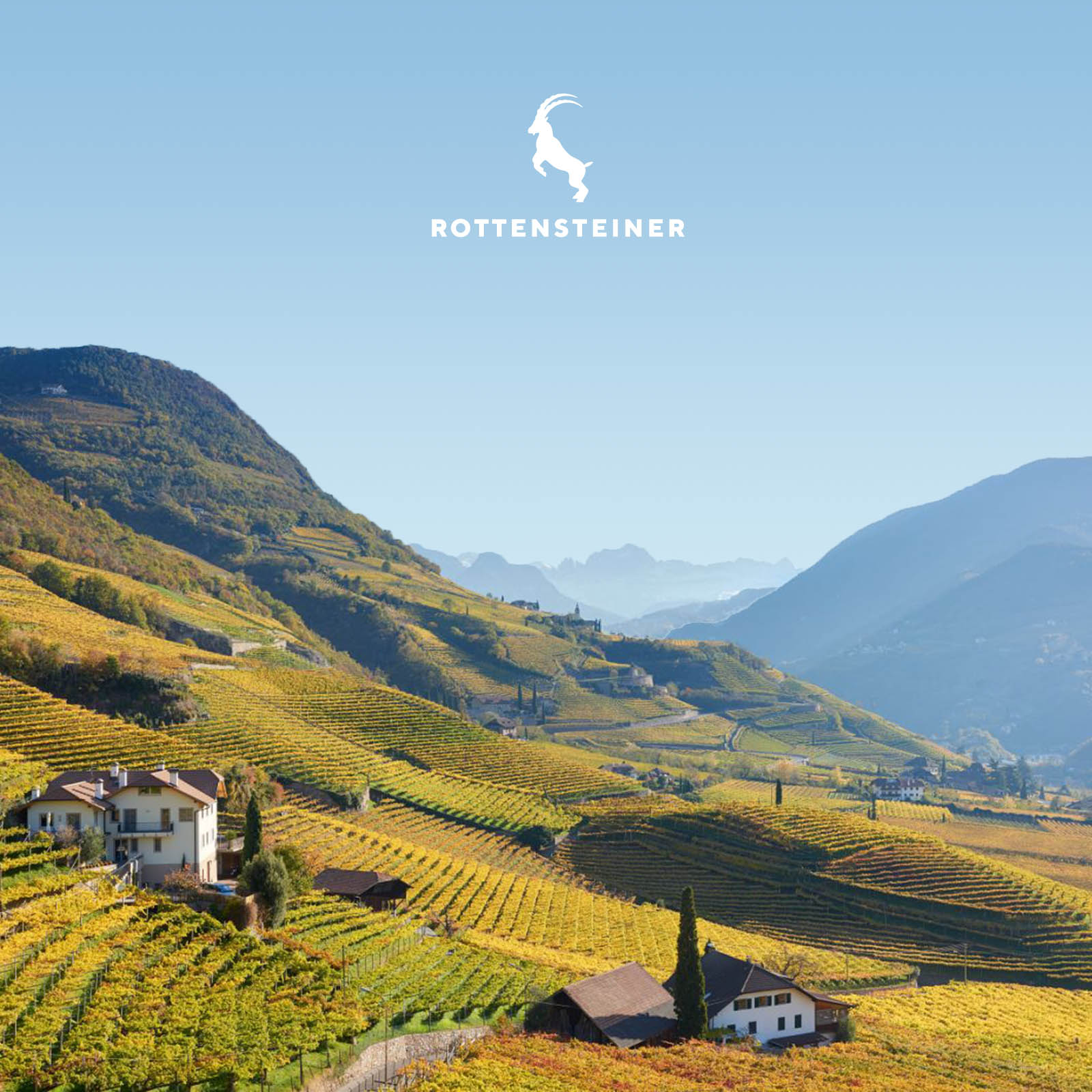 Sauvignon Blanc 2022