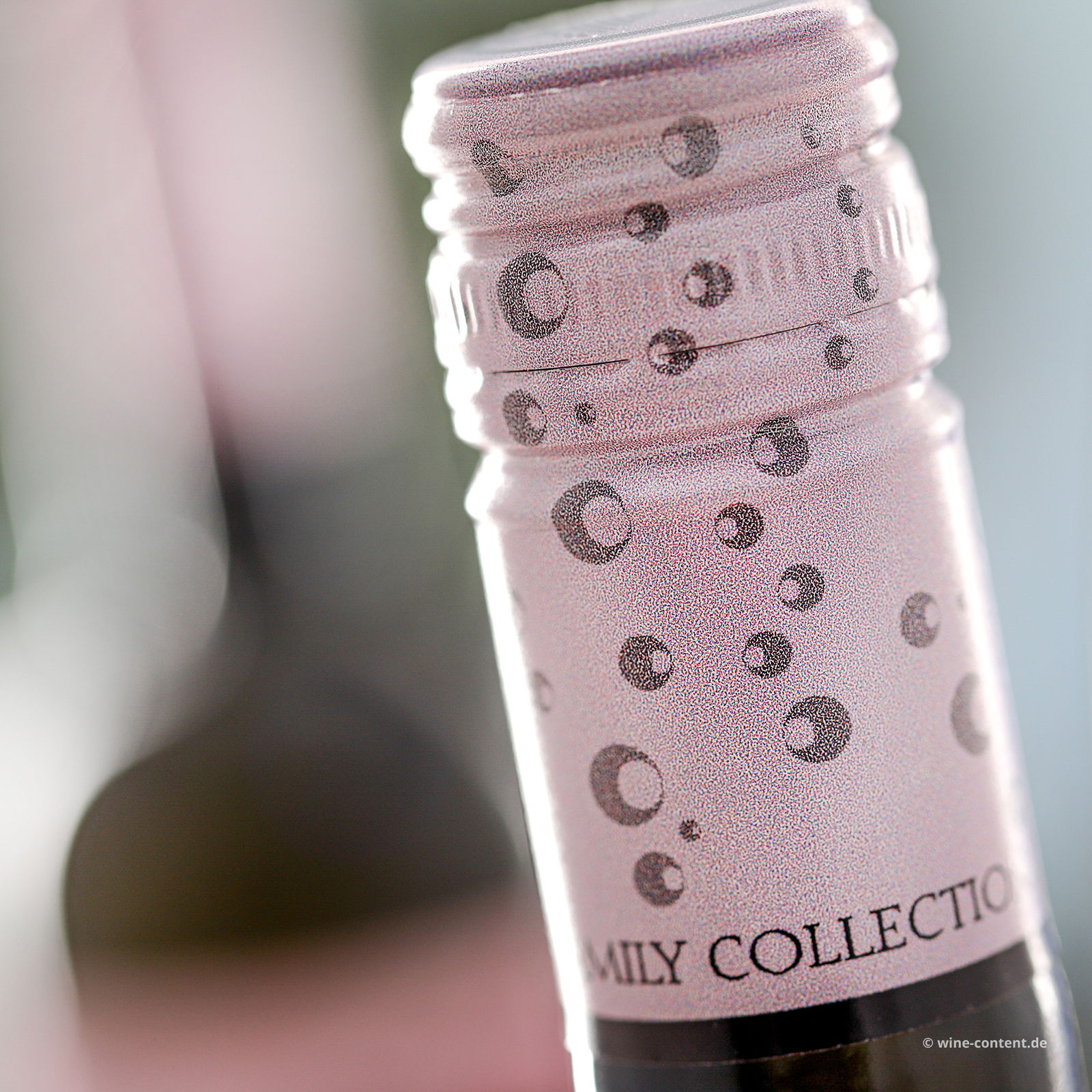 Pinot Grigio delle Venezie 2025