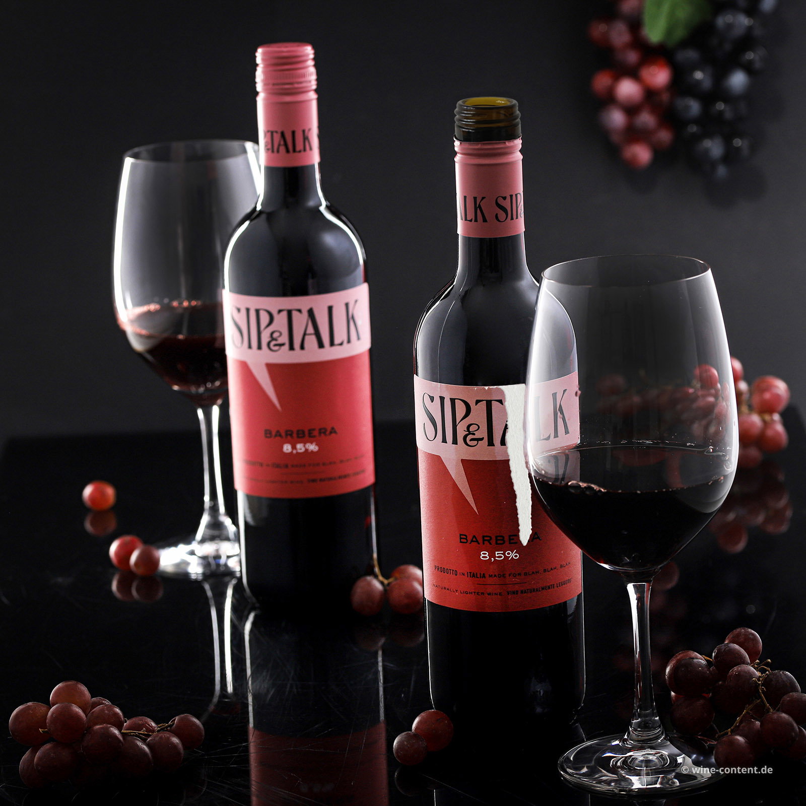 Barbera 2024 Sip & Talk 8,5% (Lagerschaden)