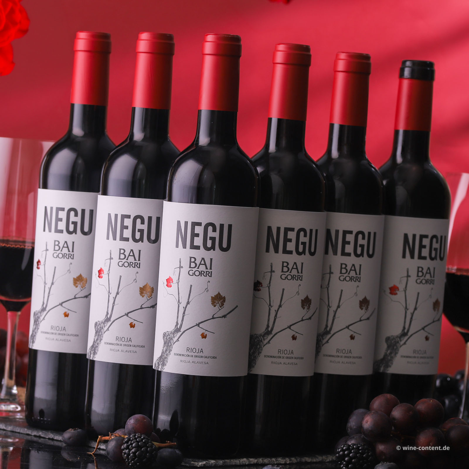 6er-Sparpaket Rioja 2025 Negu