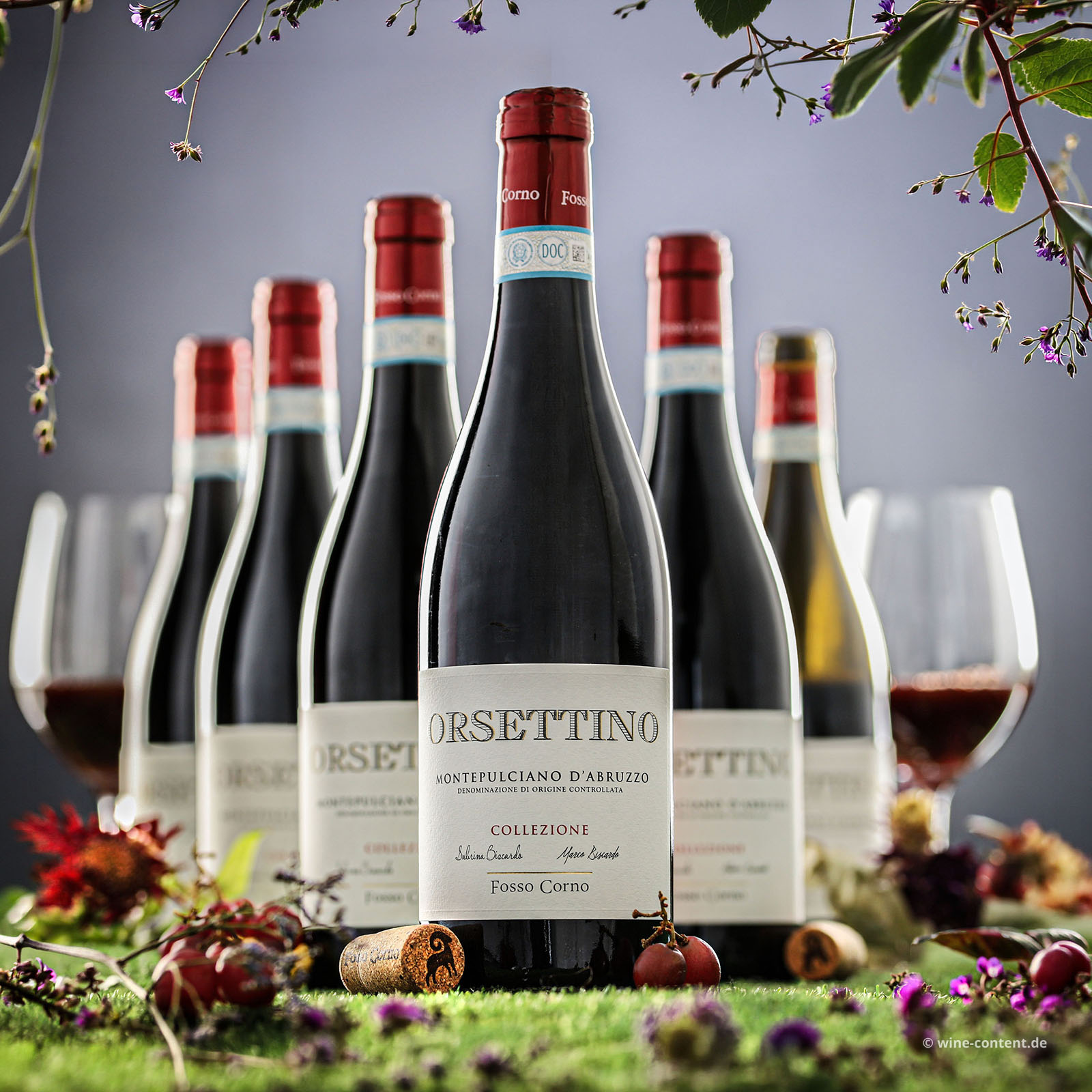 6er-Sparpaket Montepulciano d´Abruzzo 2023 Orsettino