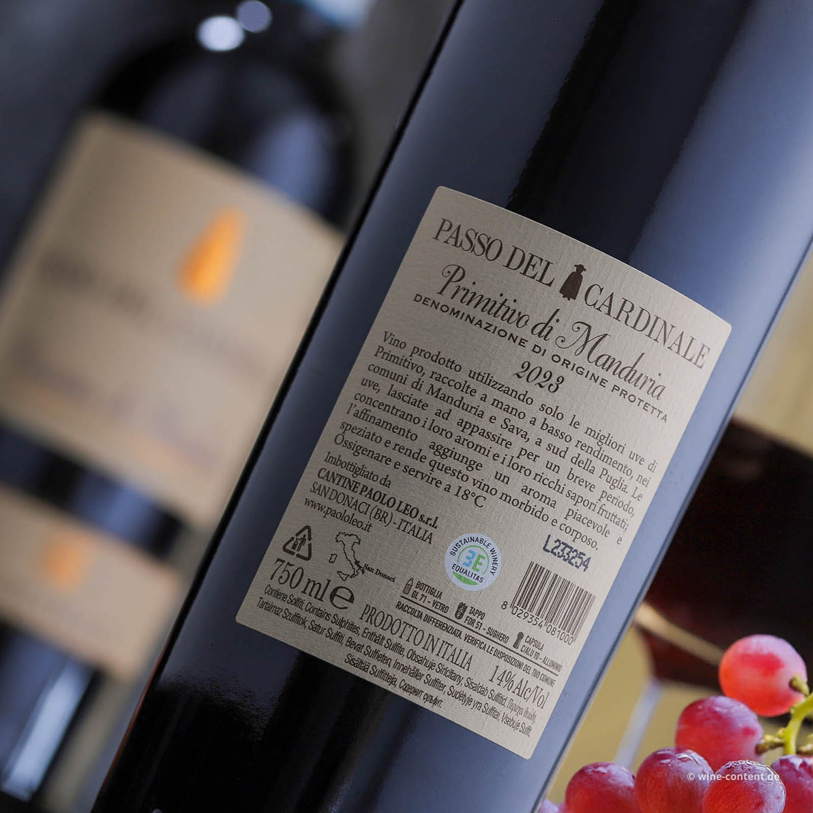 Primitivo di Manduria 2023 Passo del Cardinale Primitivo di Manduria 2023 Passo del Cardinale
