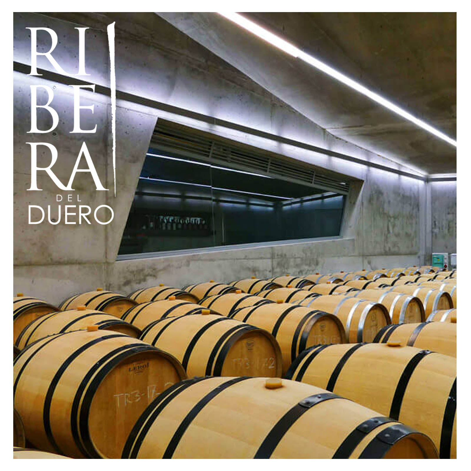Tempranillo 2022 Vendimia Seleccionada