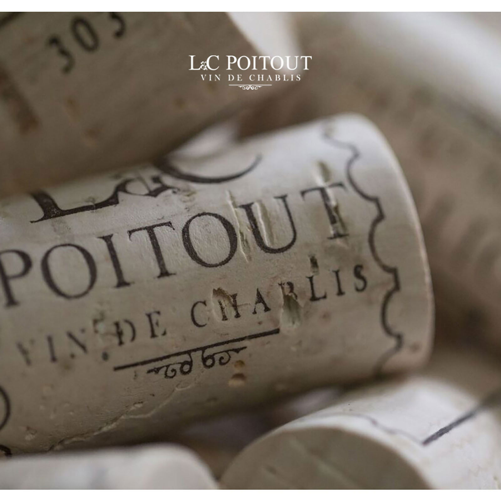 Chablis 1er Cru 2023 Stellaris