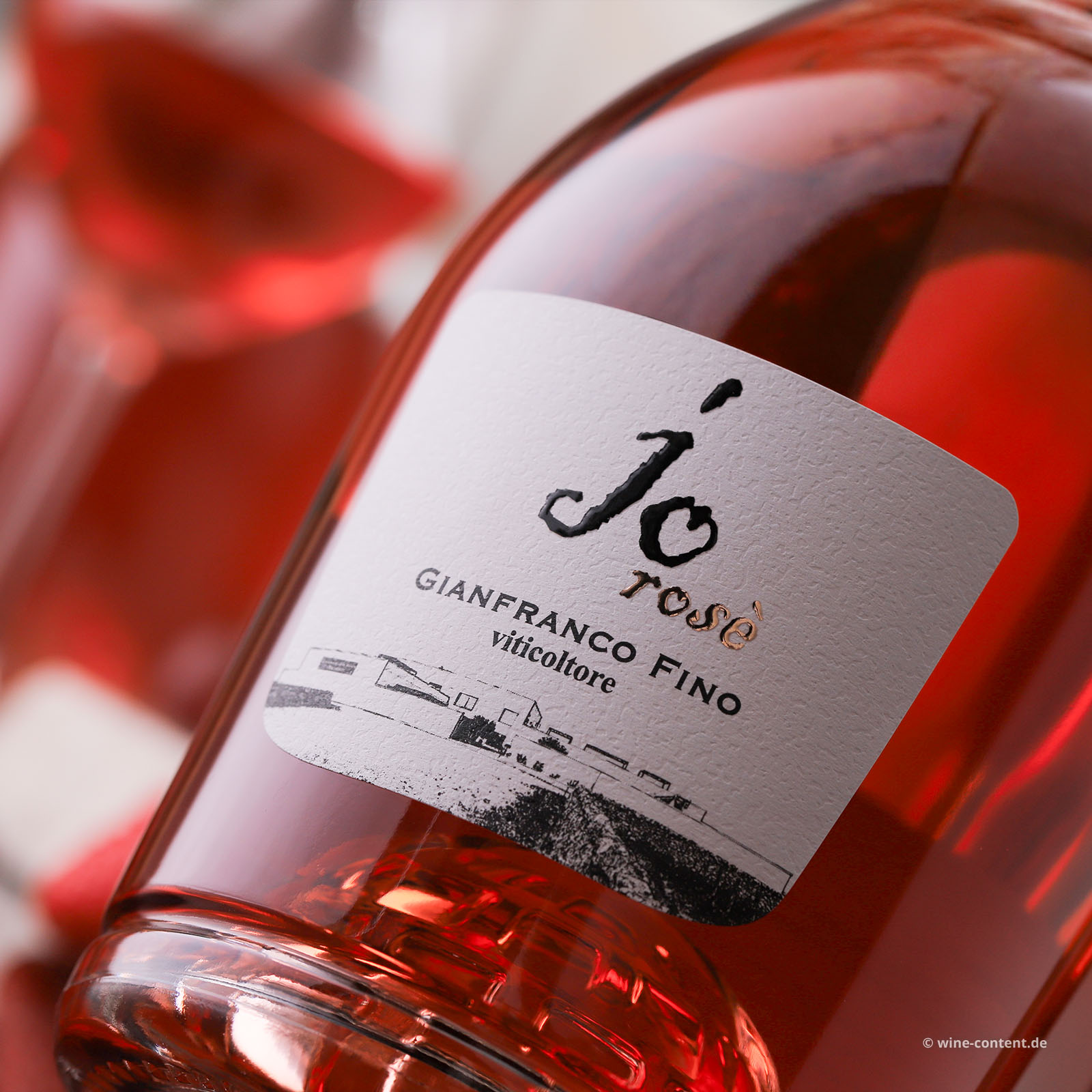 6er-Sparpaket Negroamaro Salento Rosé 2025 jo