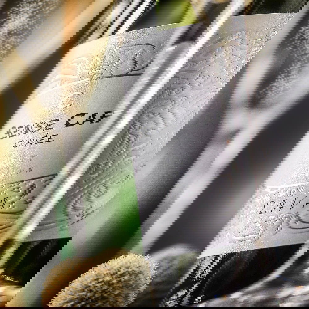 Cava Reserva 2021 Sense Cap Brut Bio Cava Reserva 2021 Sense Cap Brut Bio