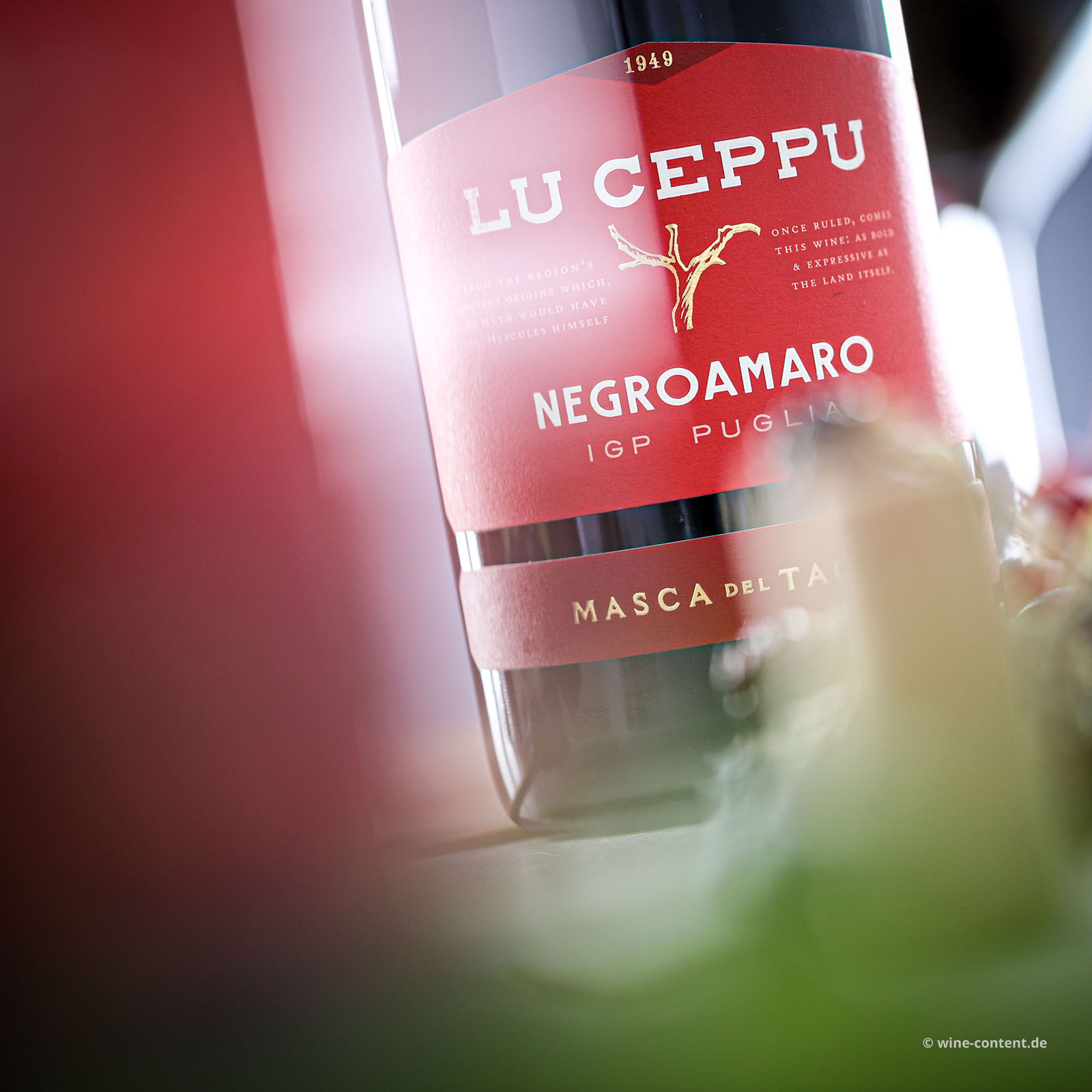 Negroamaro 2025 Lu Ceppu