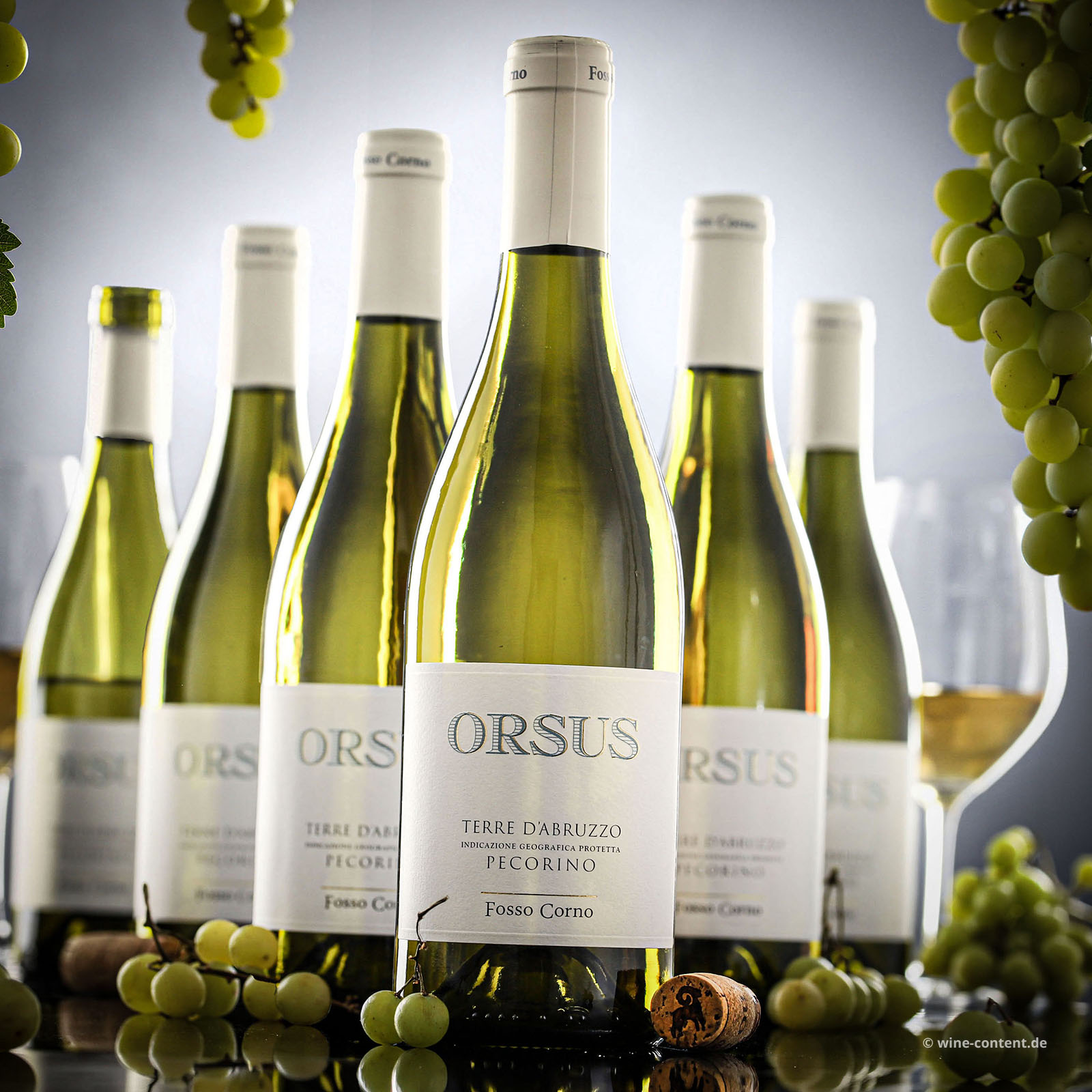 6er-Sparpaket Pecorino Abruzzo 2025 Orsus