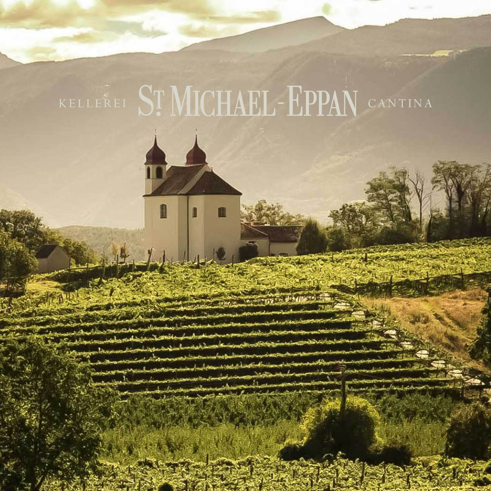 6er-Sparpaket Sauvignon Blanc 2025 Fallwind