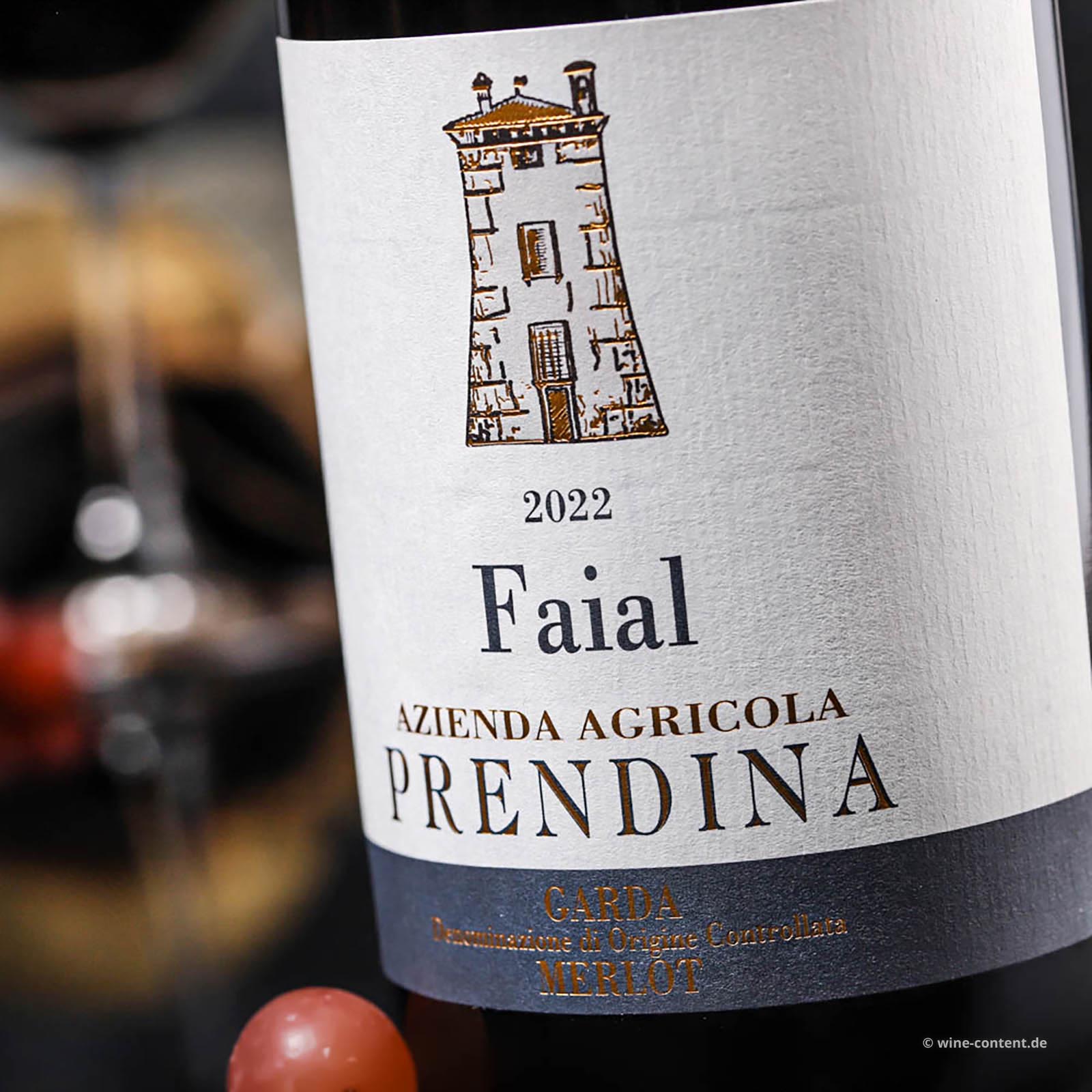 Merlot 2022 Faial