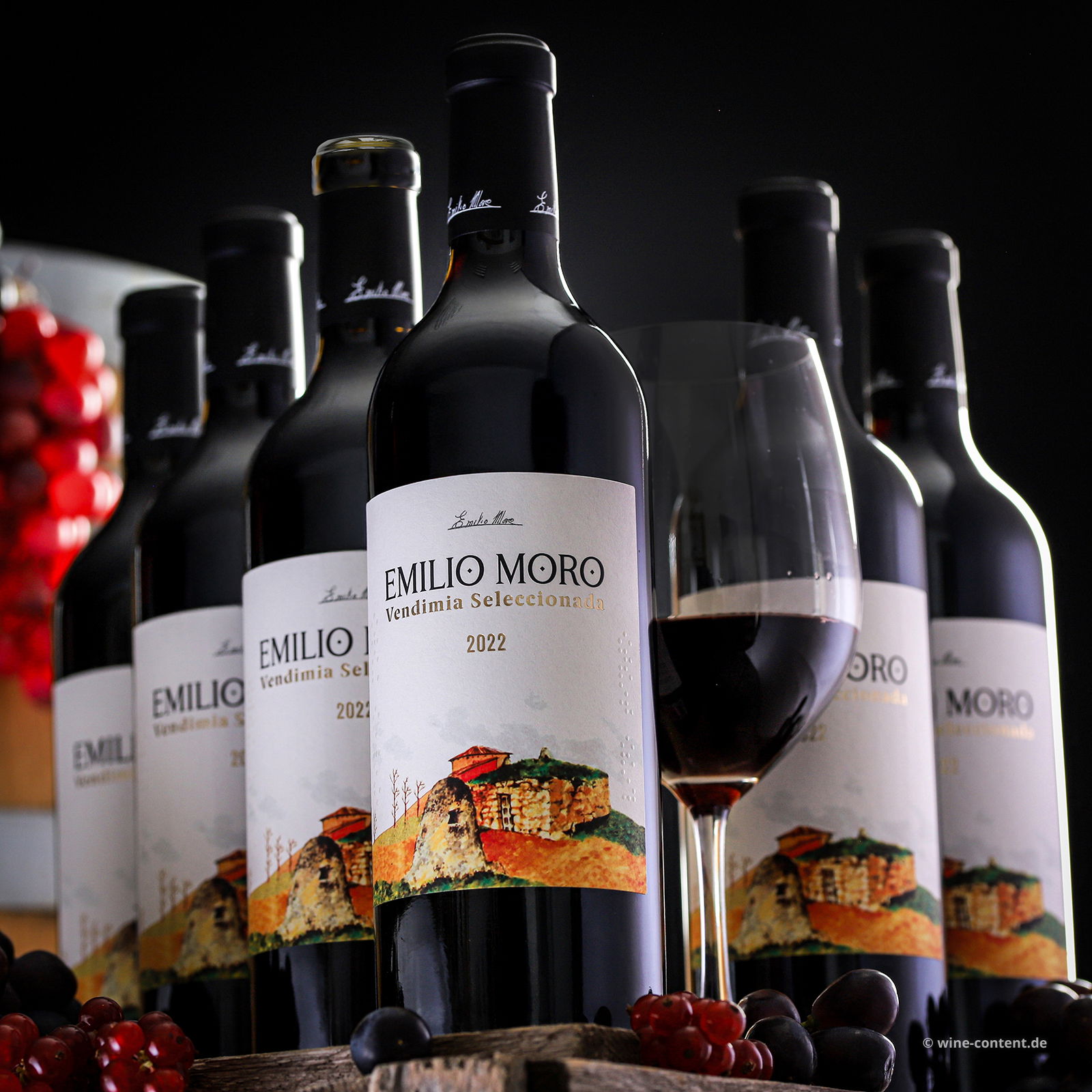 6er-Sparpaket Tempranillo 2022 Vendimia Seleccionada