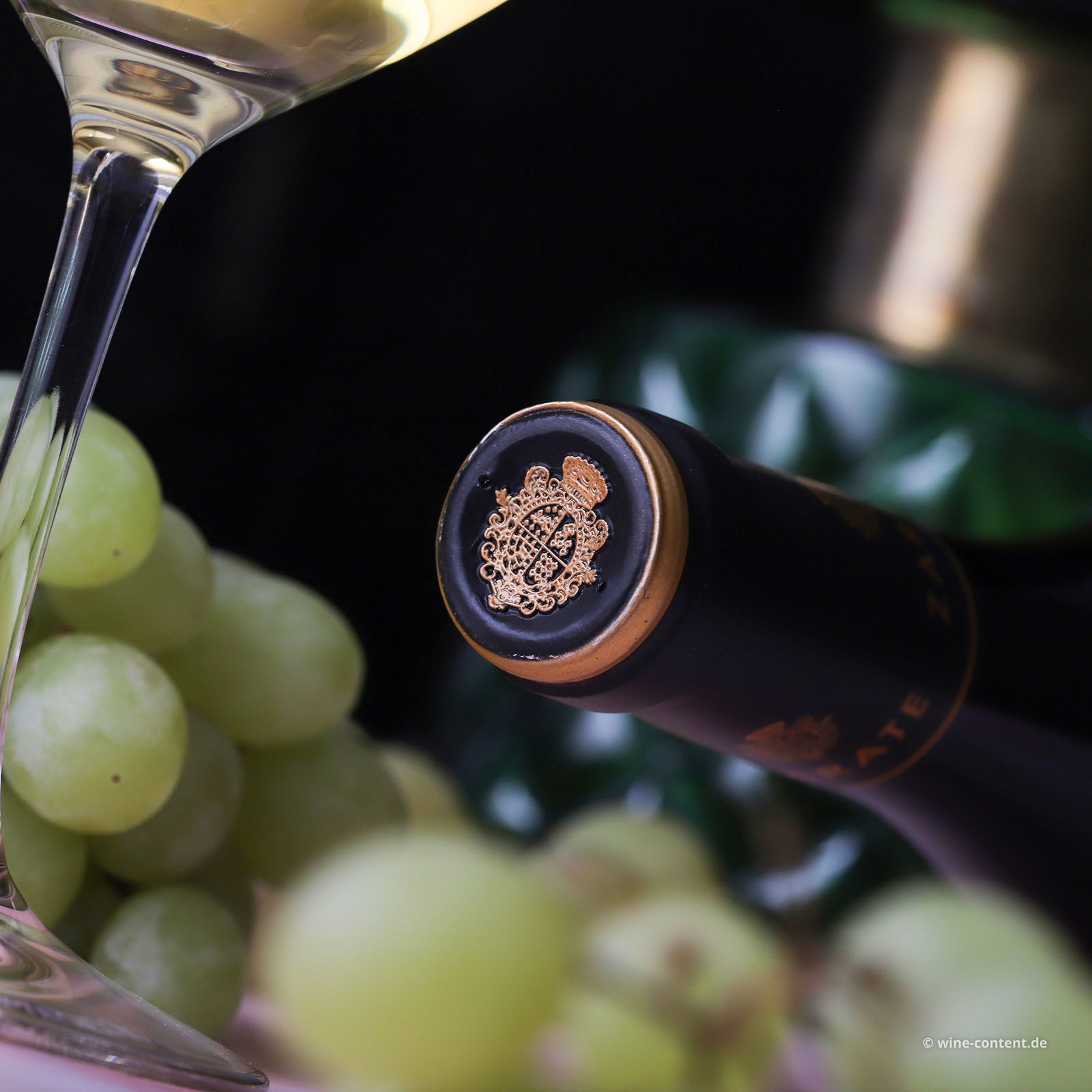 Albariño 2022 Tras da Viña
