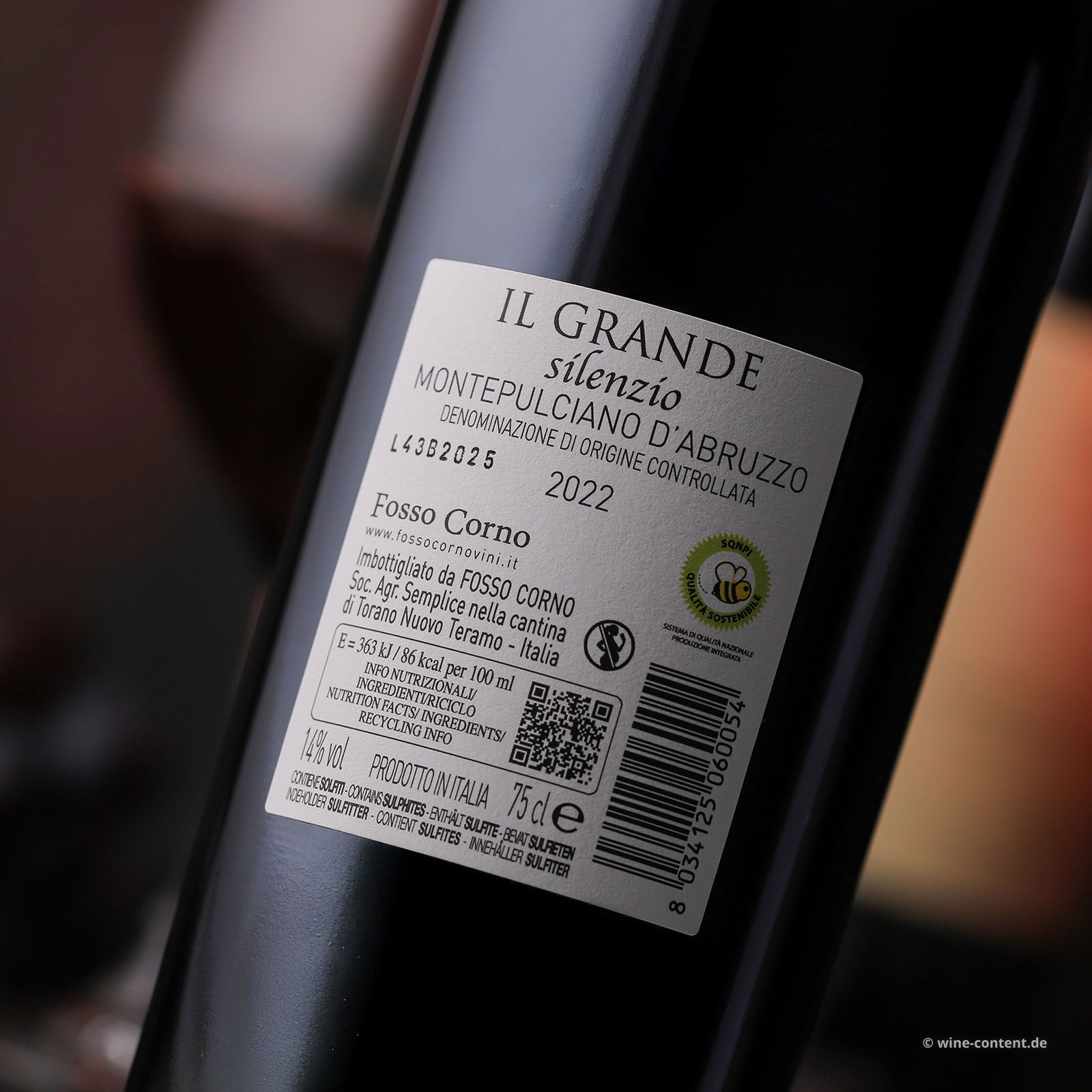 Montepulciano d'Abruzzo 2022 Il Grande Silenzio Montepulciano d'Abruzzo 2022 Il Grande Silenzio