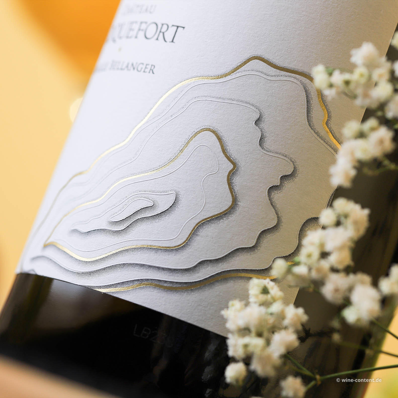 Sauvignon Blanc 2024 Les Roches Blanches Bio