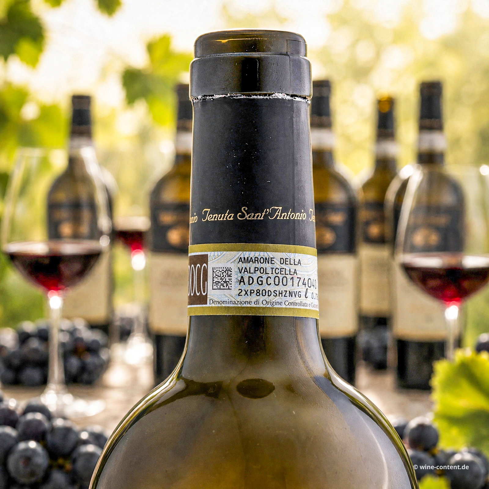 6er-Sparpaket Amarone 2021 Selezione Antonio Castagnedi
