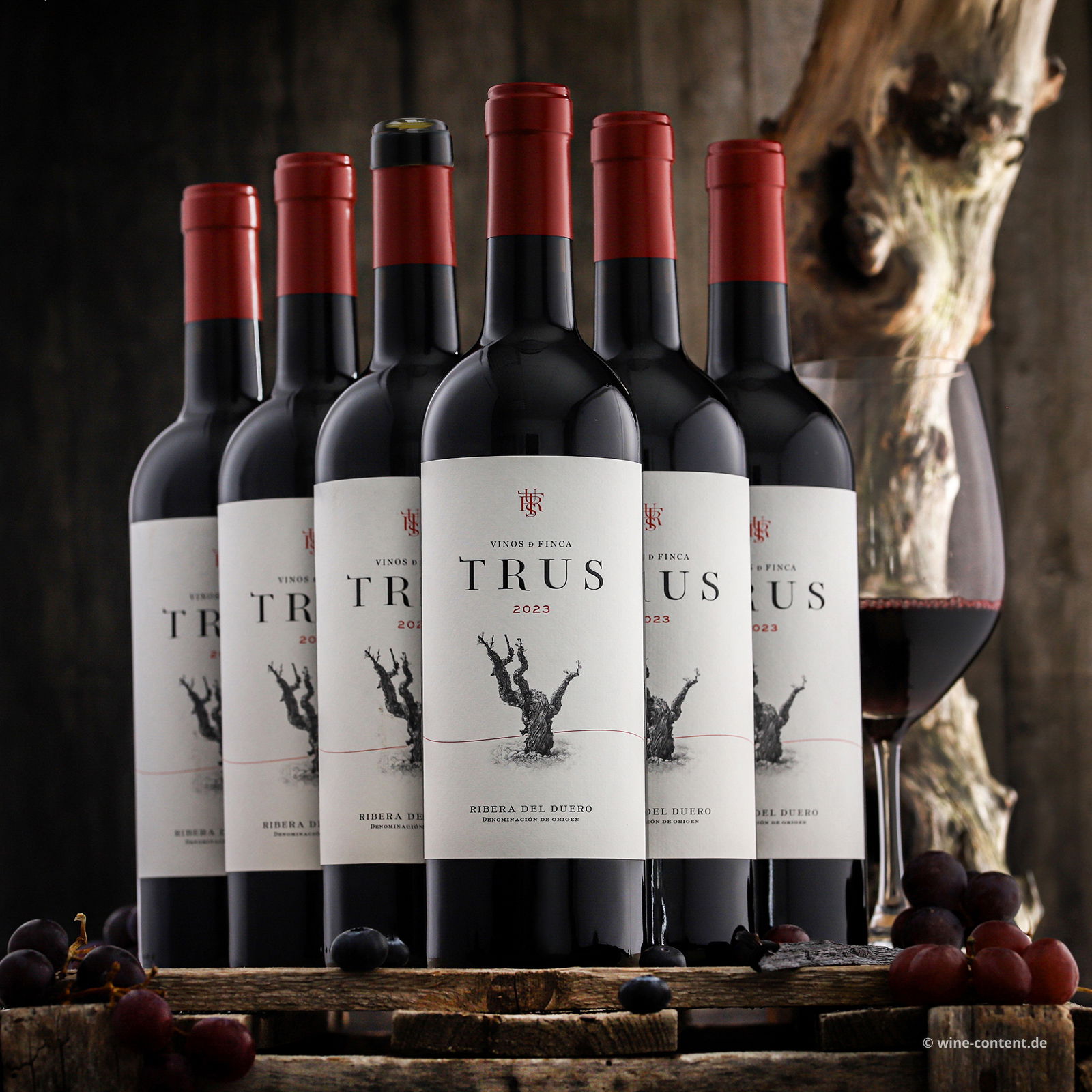 6er-Sparpaket Tempranillo 2023 Roble 6er-Sparpaket Tempranillo 2023 Roble