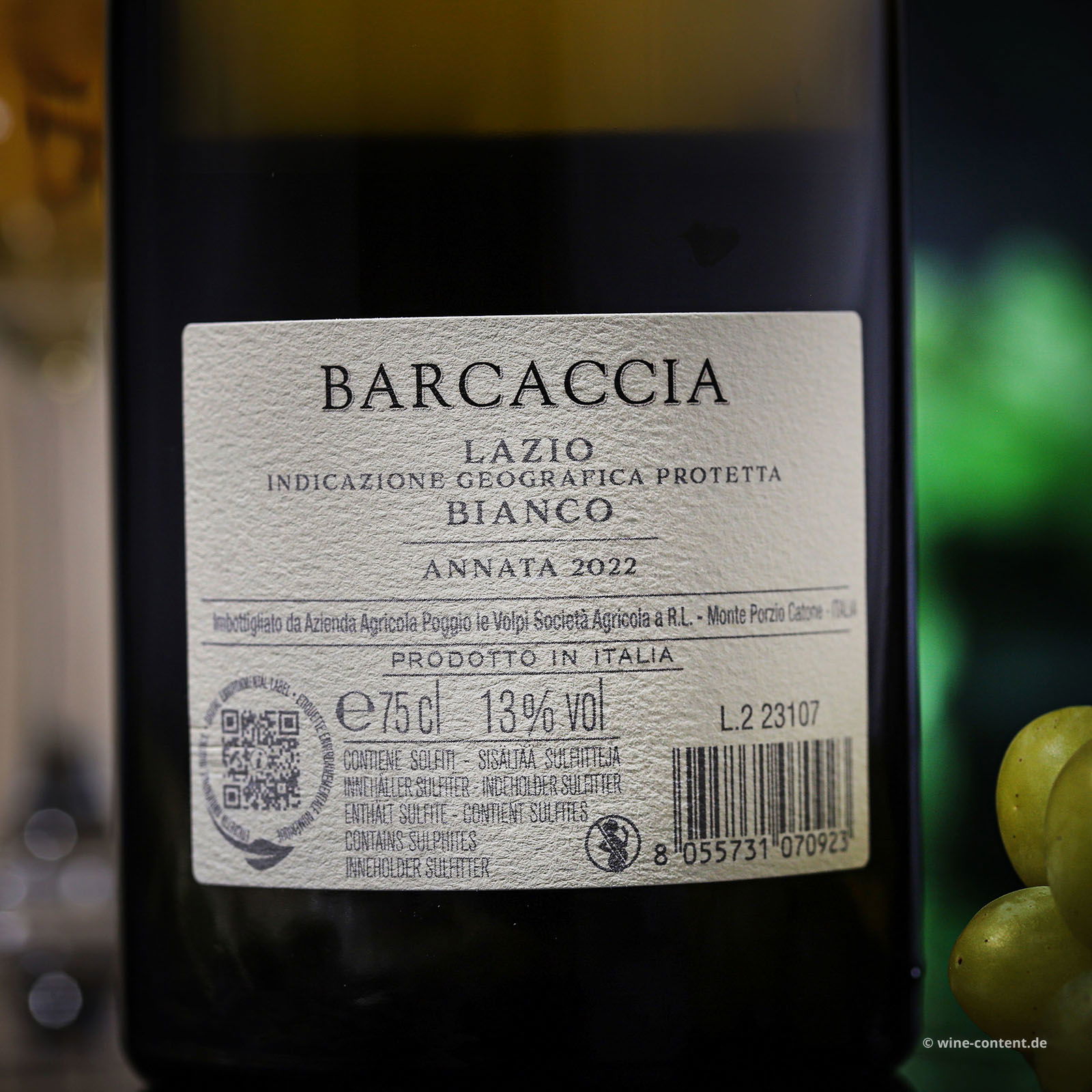 6er-Holzkiste Barcaccia Bianco 2022