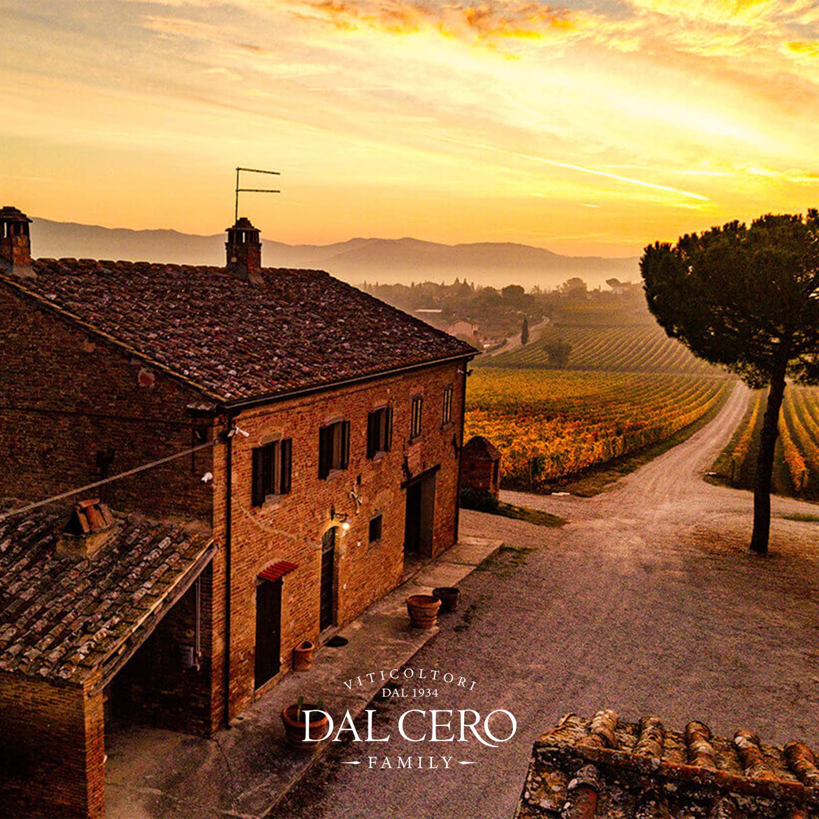 Vermentino-Chardonnay Toscana 2025 Tenuta Montecchiesi