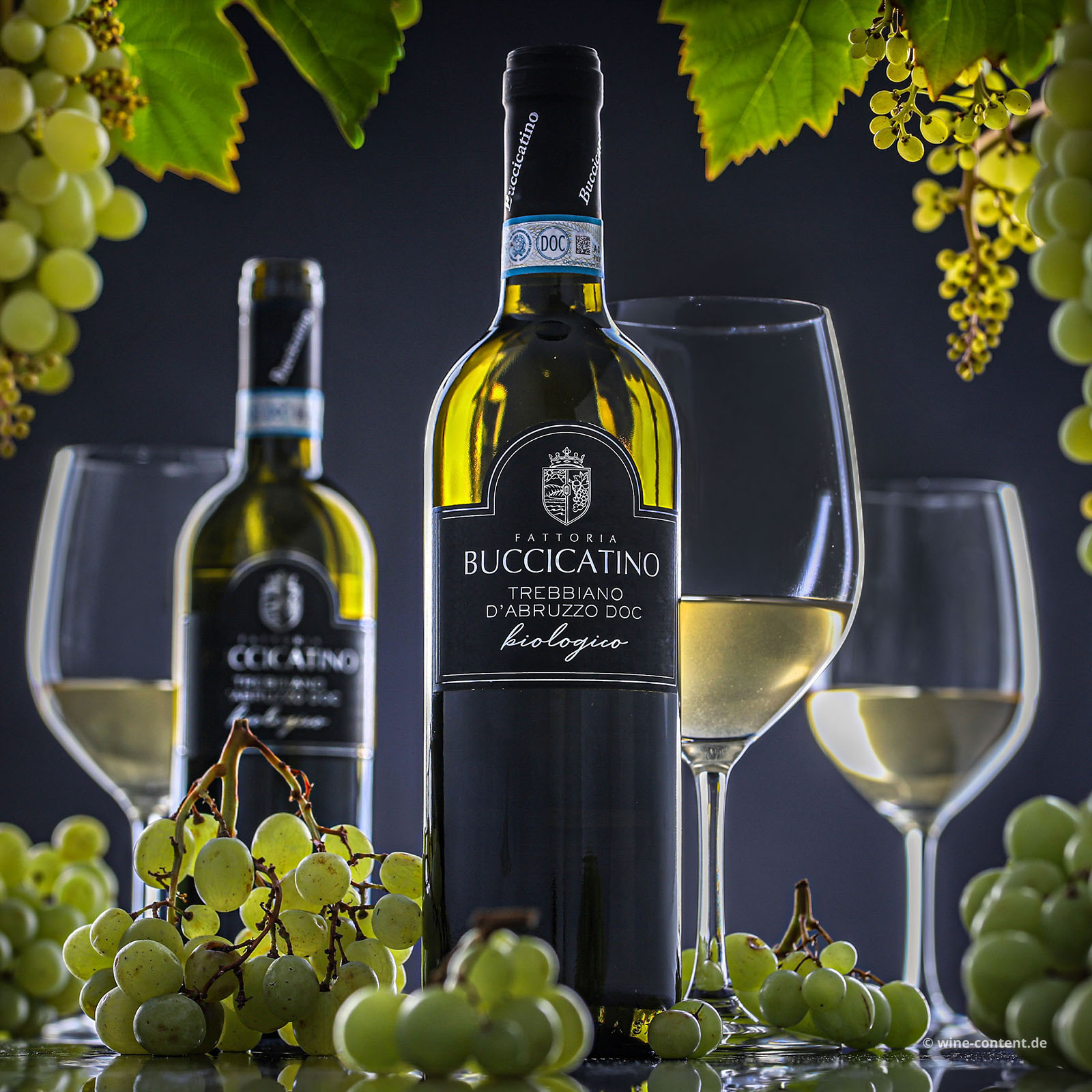 Trebbiano d'Abruzzo 2025 Bio