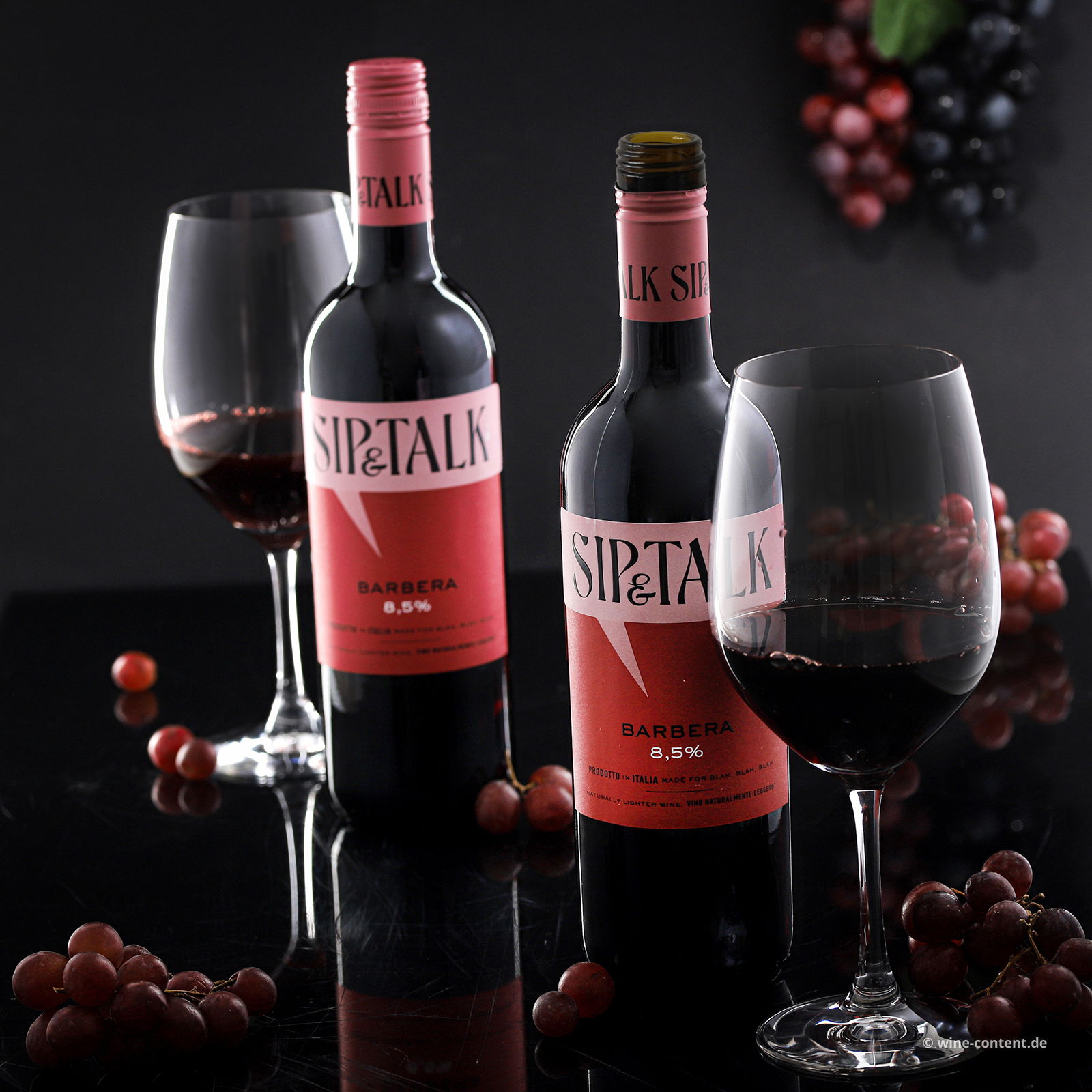 Barbera 2024 Sip & Talk 8,5%