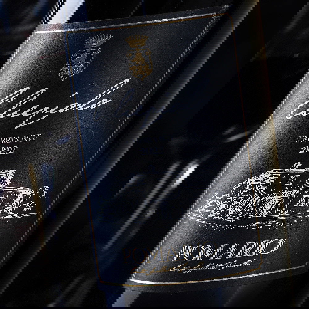 Ciliegiolo Umbria 2022 Bio