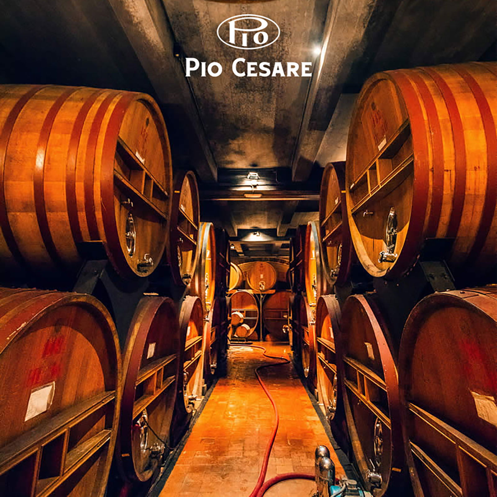 6er-Holzkiste Barolo 2021 Ornato