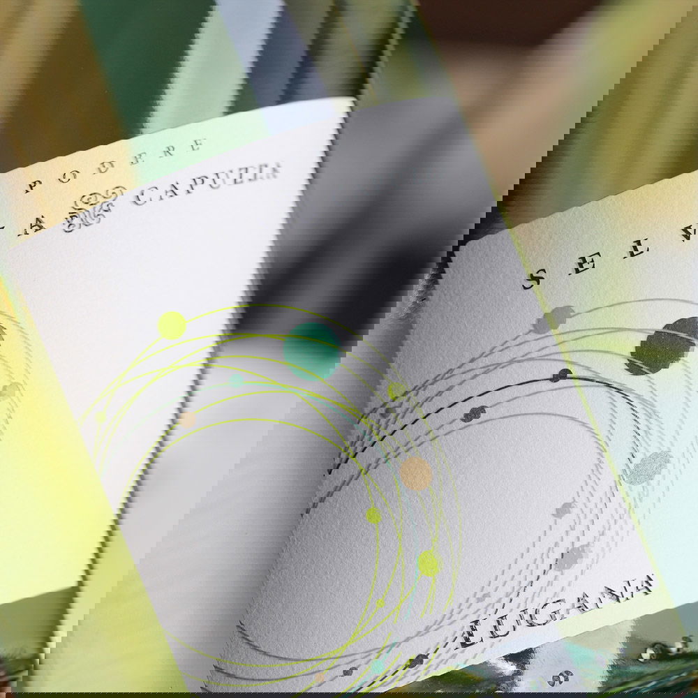 Lugana 2023 Lugana 2023