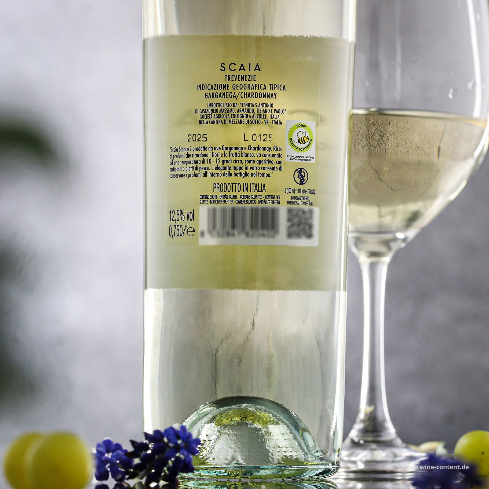 6er-Sparpaket Scaia Bianco 2025