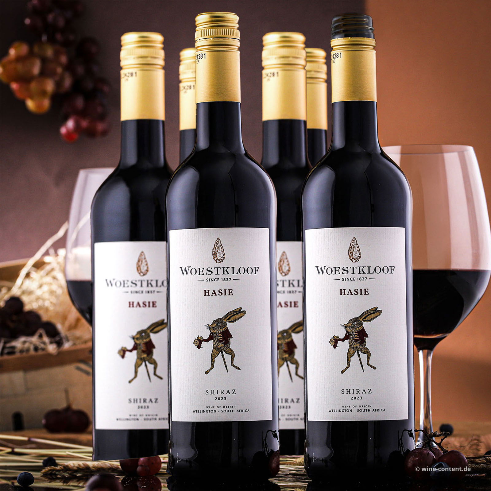 5+1 Sparpaket Shiraz 2023 Hasie