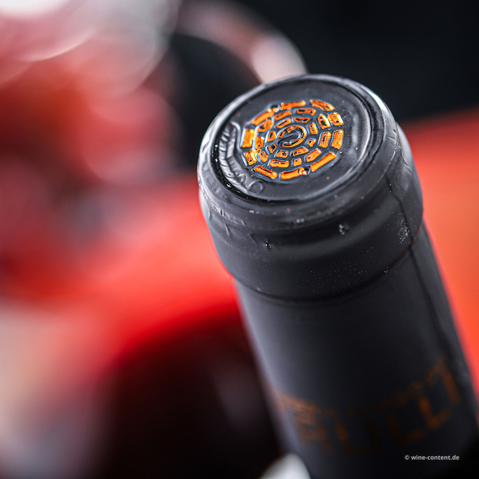 Primitivo Salento 2024