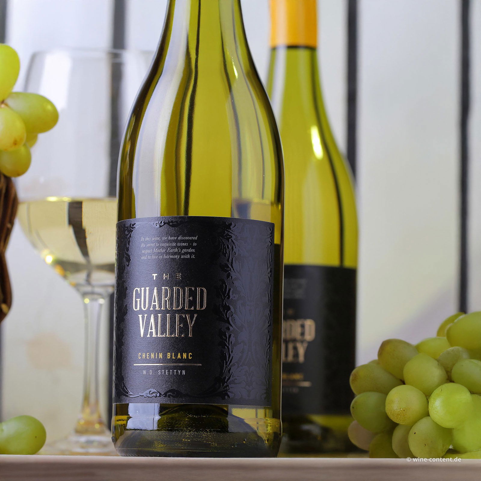 Chenin Blanc 2024 The Guarded Valley