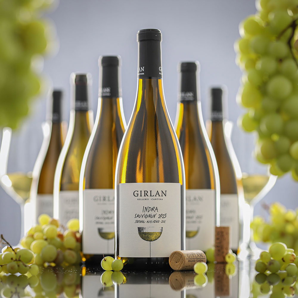 6er-Sparpaket Sauvignon Blanc 2025 Indra