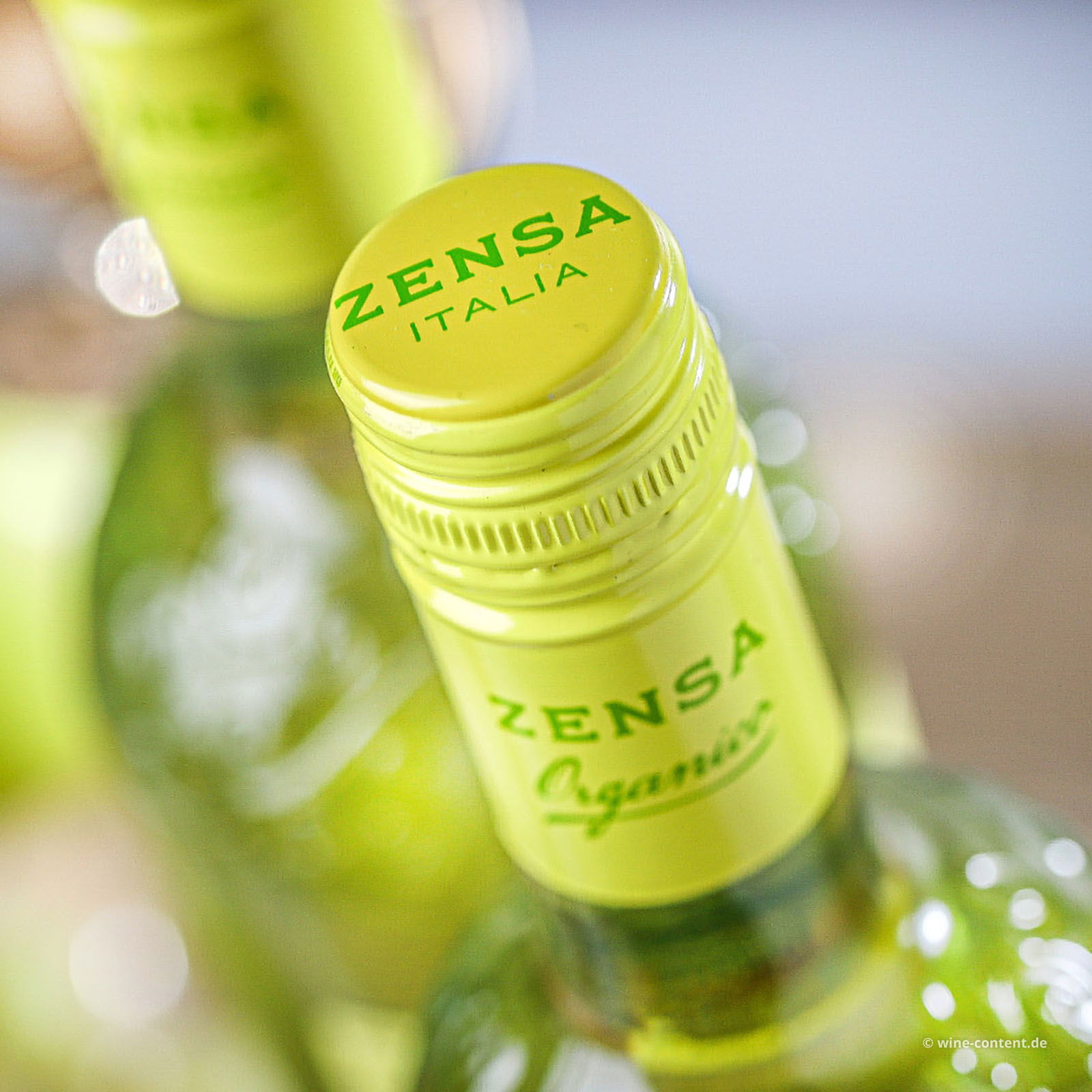 Pinot Grigio 2024 Bio
