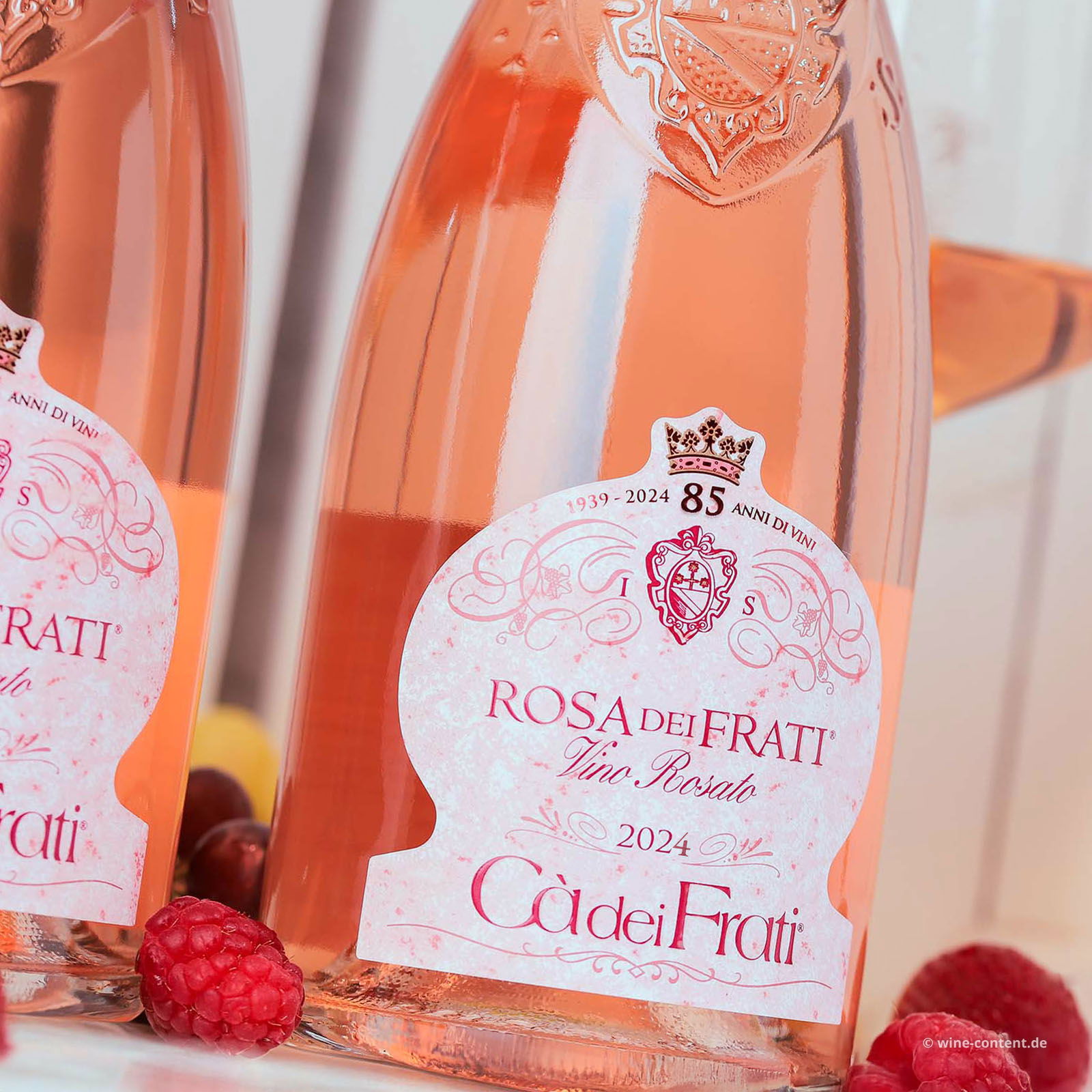 Rosa dei Frati 2024