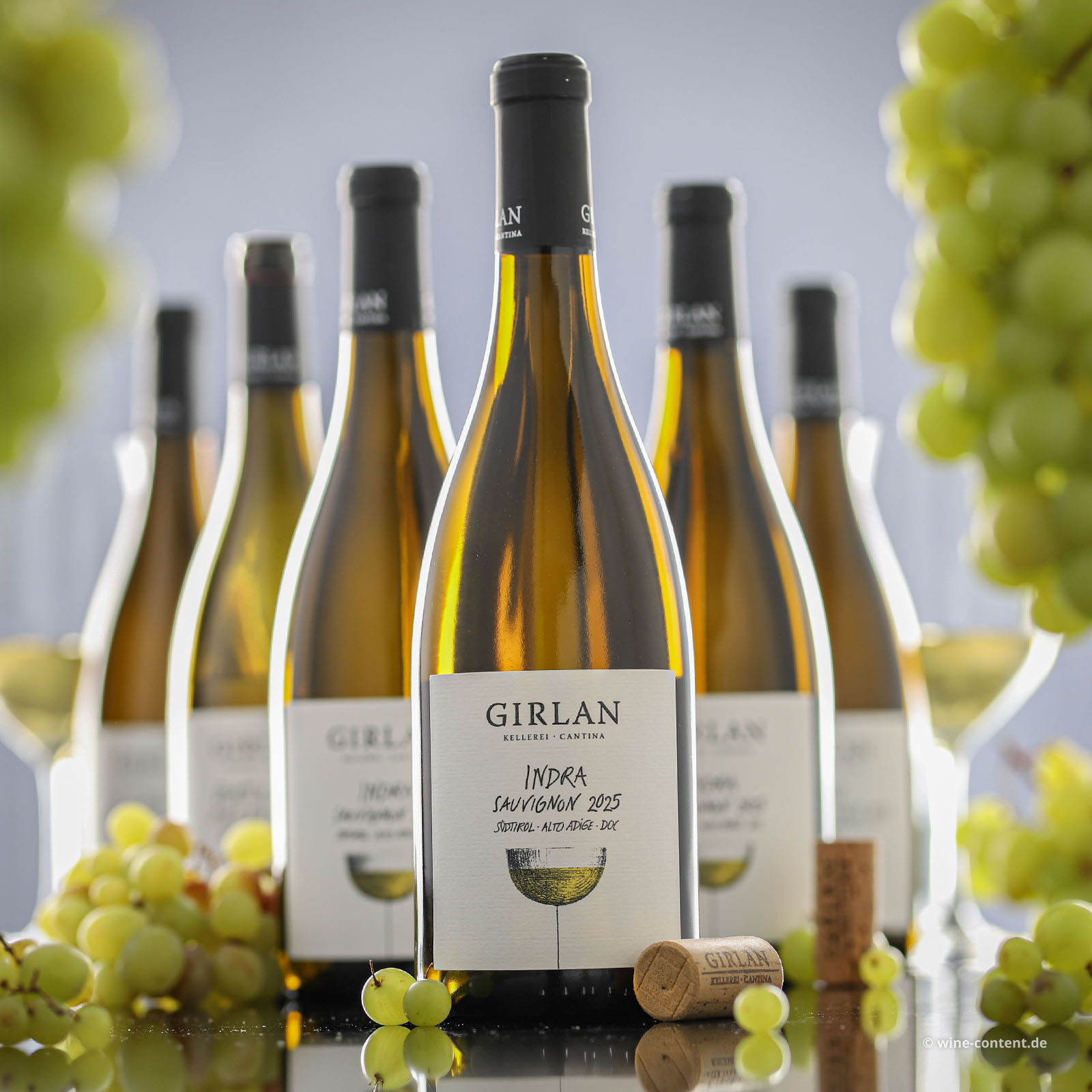 6er-Sparpaket Sauvignon Blanc 2025 Indra