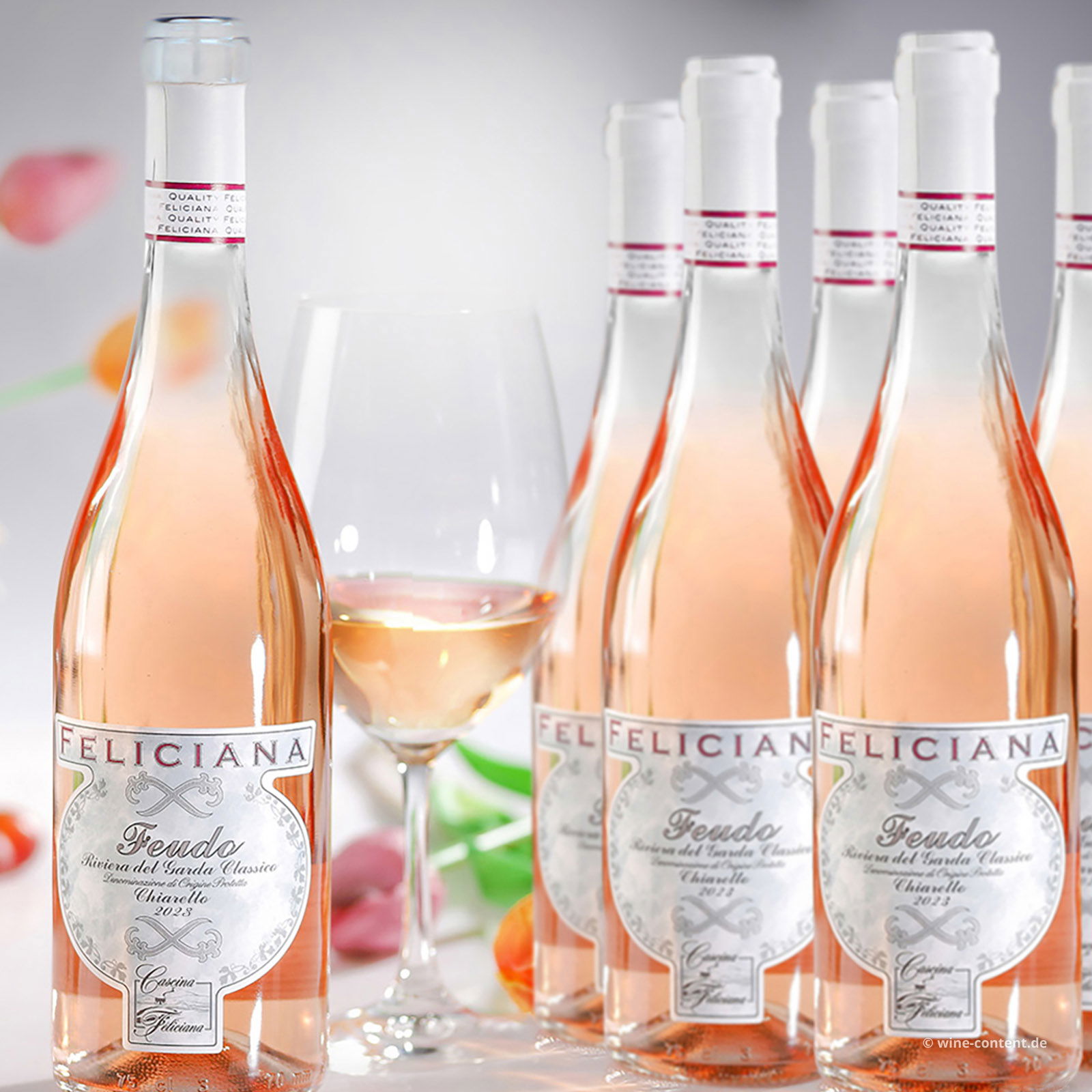 6er-Sparpaket Chiaretto Garda Classico 2024 Feudo