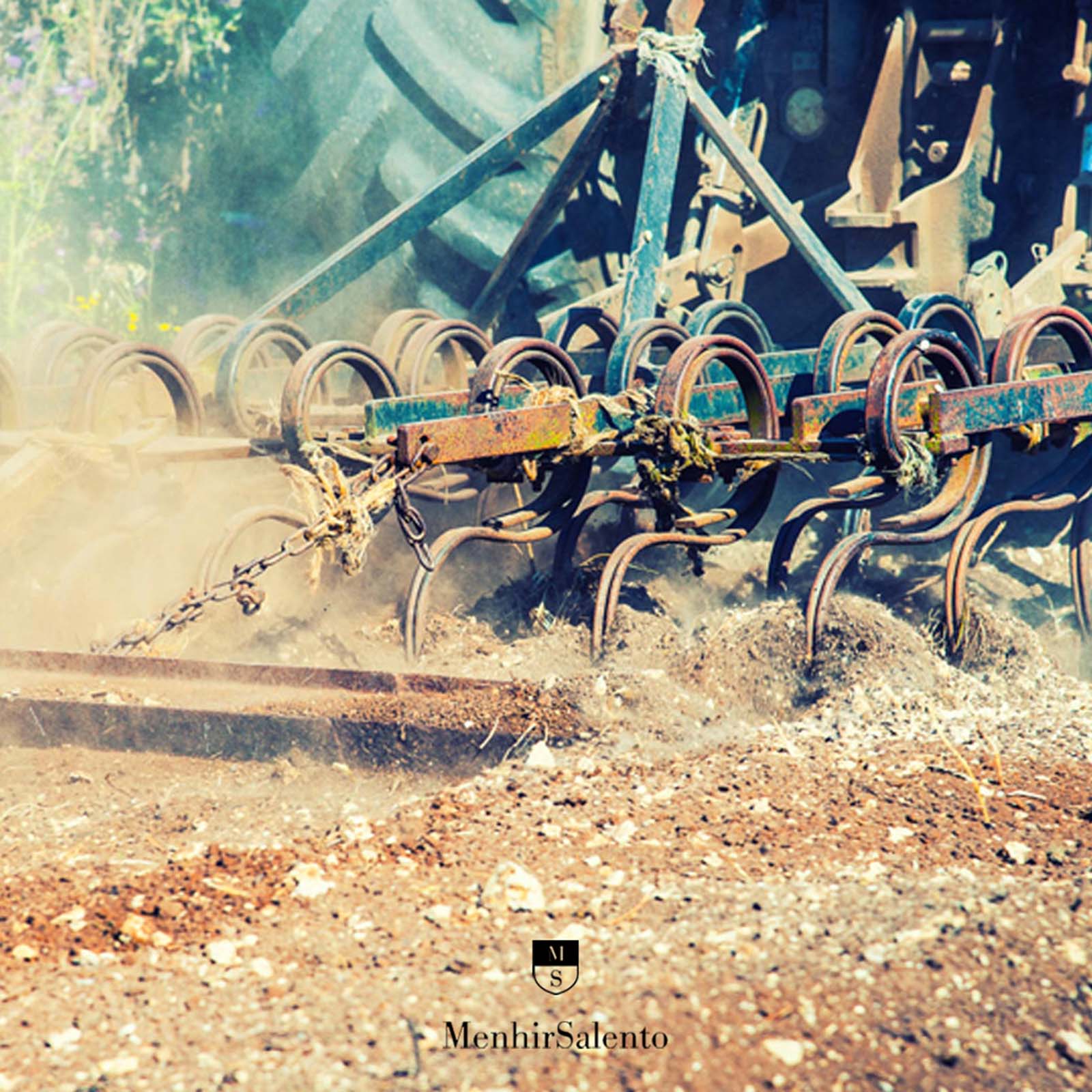 6er-Sparpaket Primitivo 2023 Quota 29 6er-Sparpaket Primitivo 2023 Quota 29