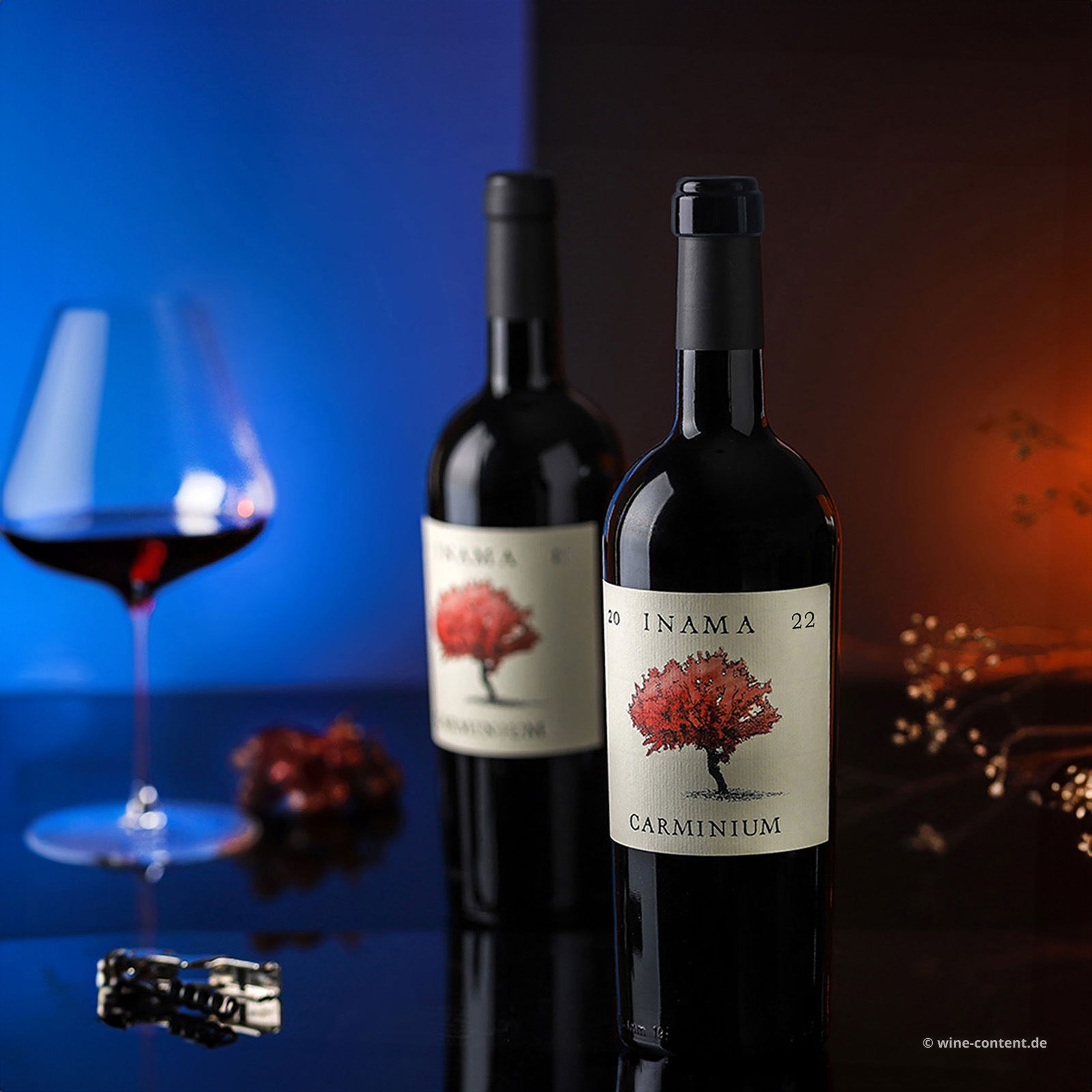 Carmenere 2022 Carminium