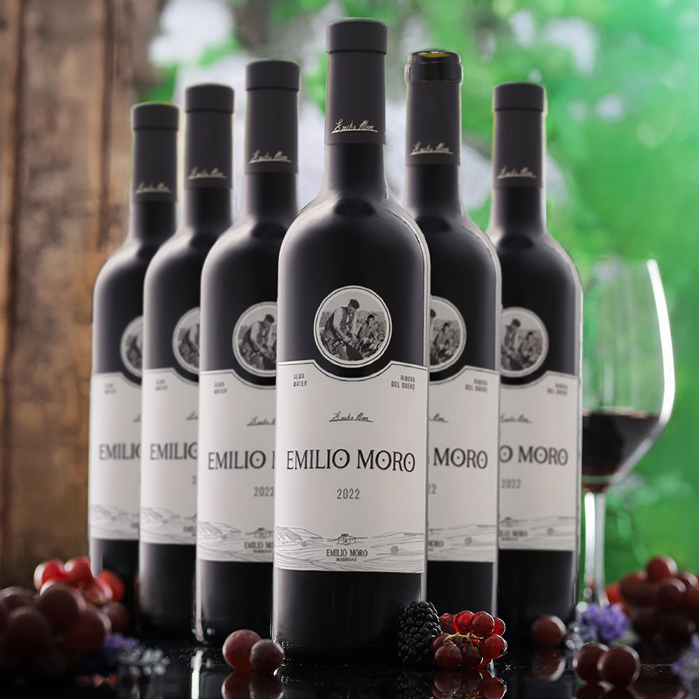 6er-Sparpaket Tempranillo 2022 Emilio Moro