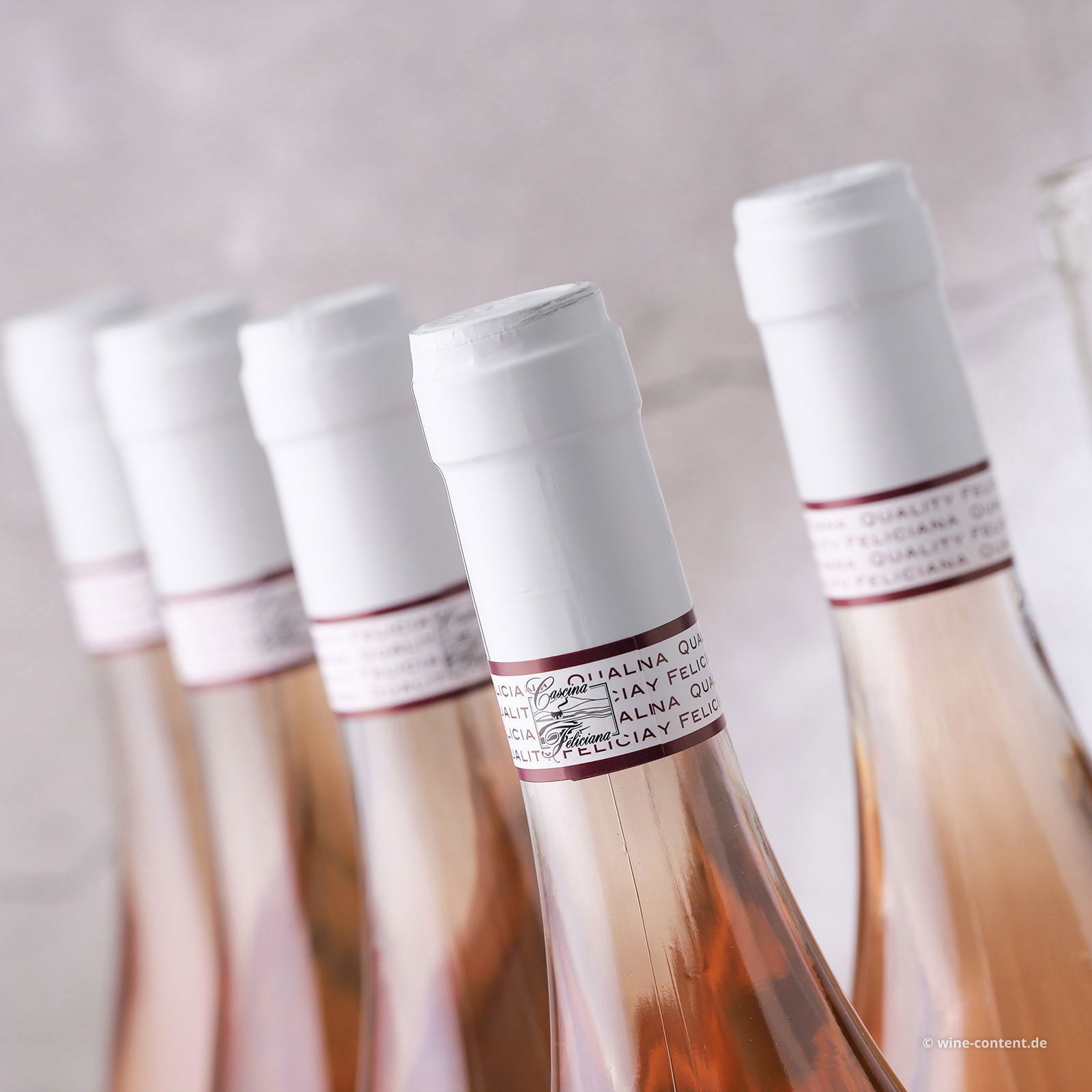 6er-Sparpaket Chiaretto Garda Classico 2025 Feudo