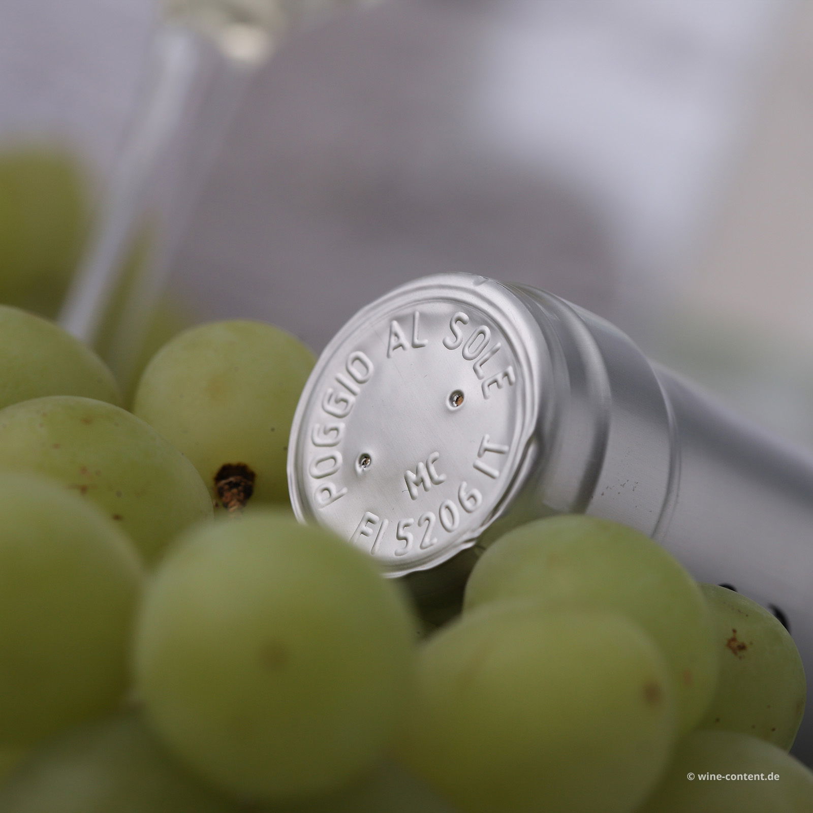 Sangiovese Bianco Toscana 2024 Bio