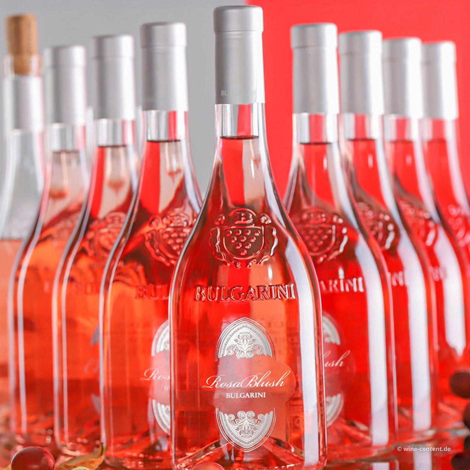 9er-Sparpaket Chiaretto Garda Classico 2024 Rosa Blush