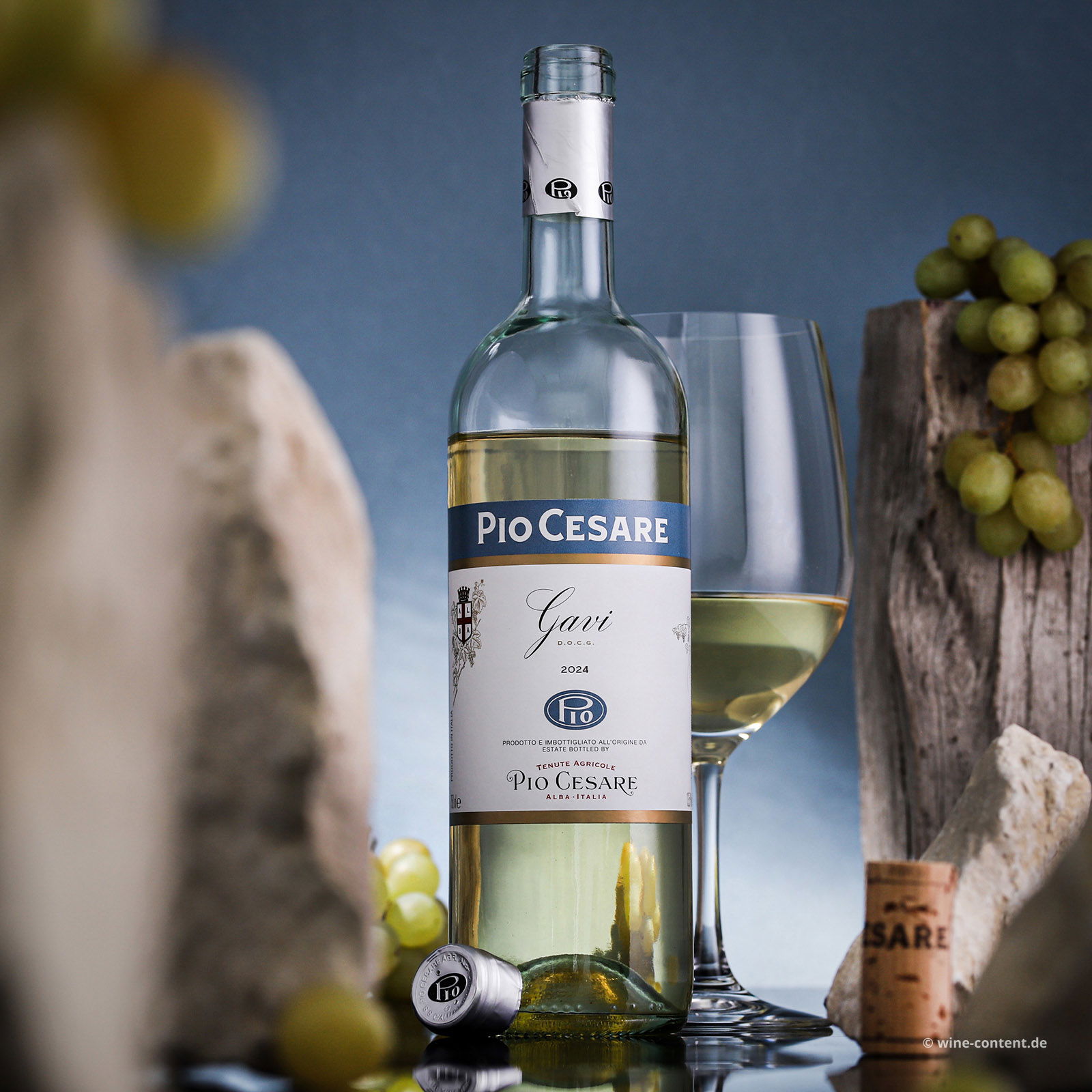 Gavi 2024
