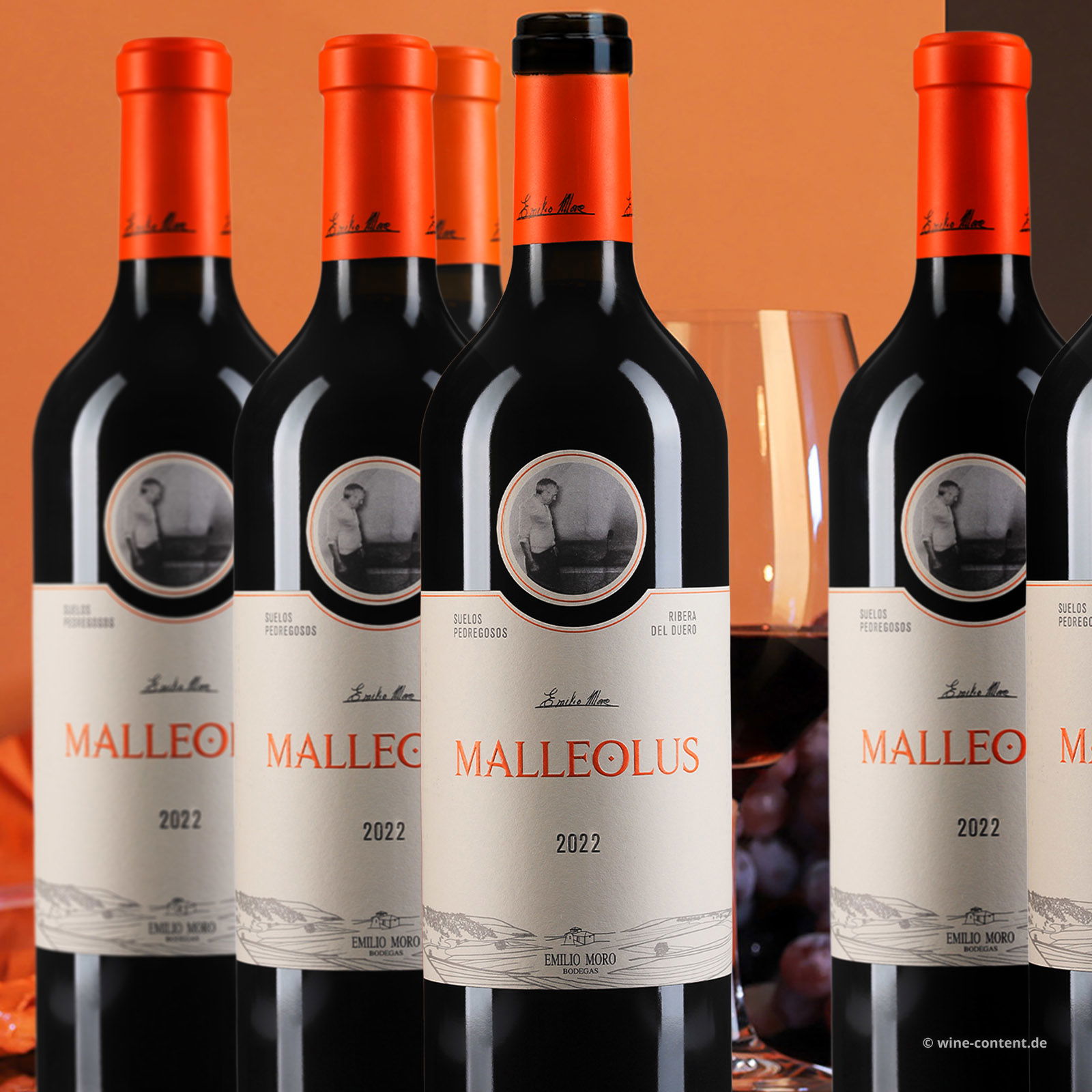 6er-Sparpaket Malleolus 2022