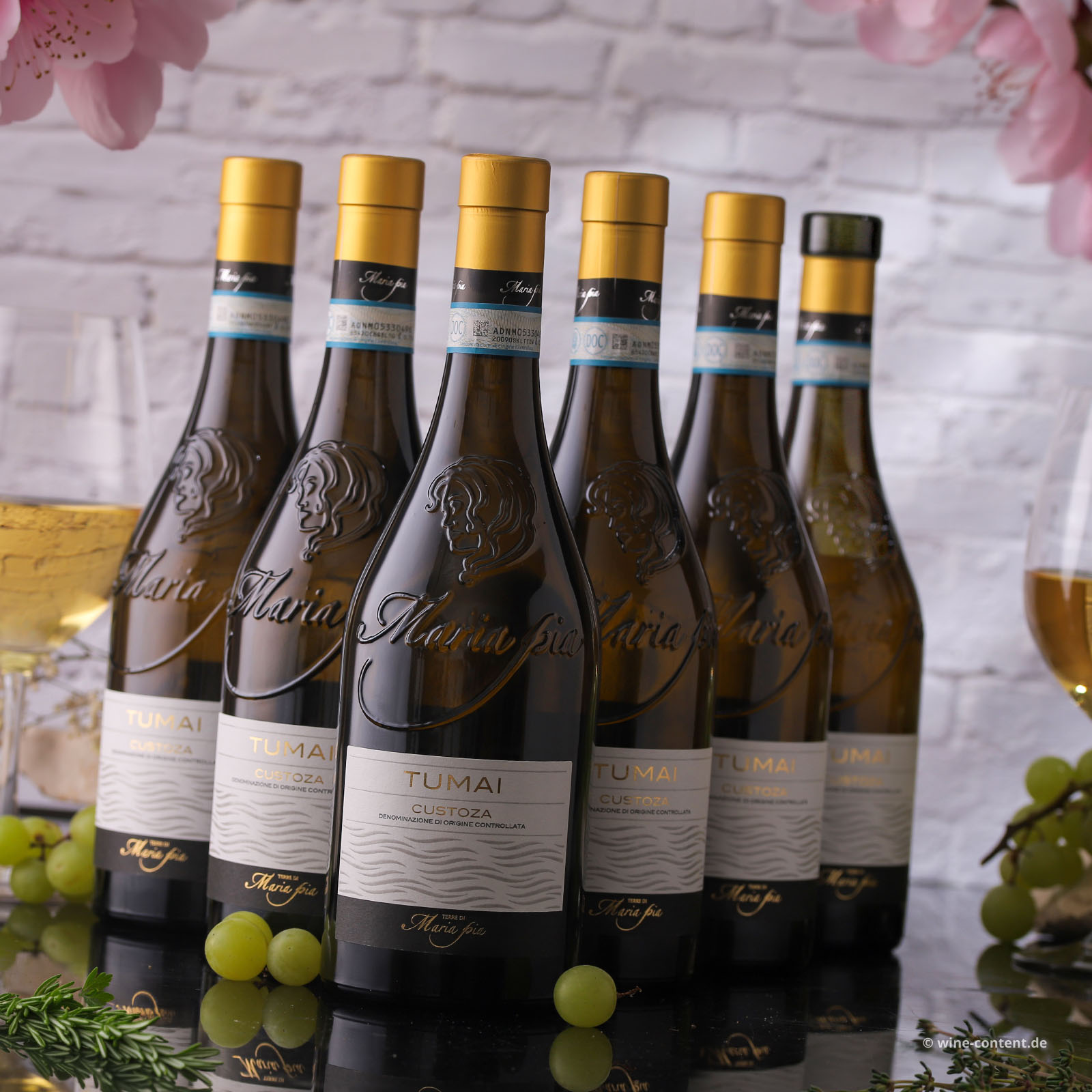 6er-Sparpaket Custoza 2025 Tumai