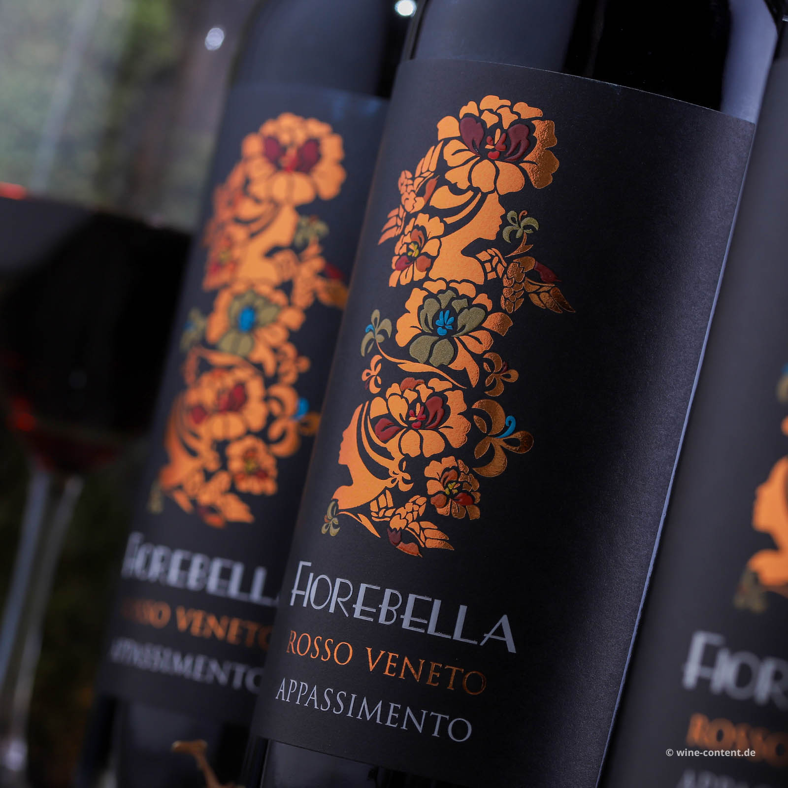 6er-Sparpaket Rosso del Veneto Appassimento 2023 Fiorebella