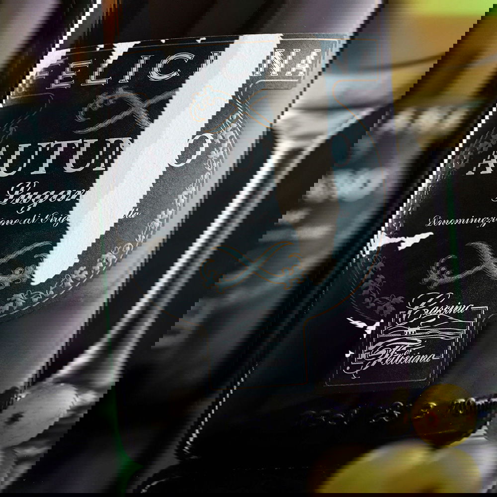 Lugana 2023 Autunno (Lagerschaden)